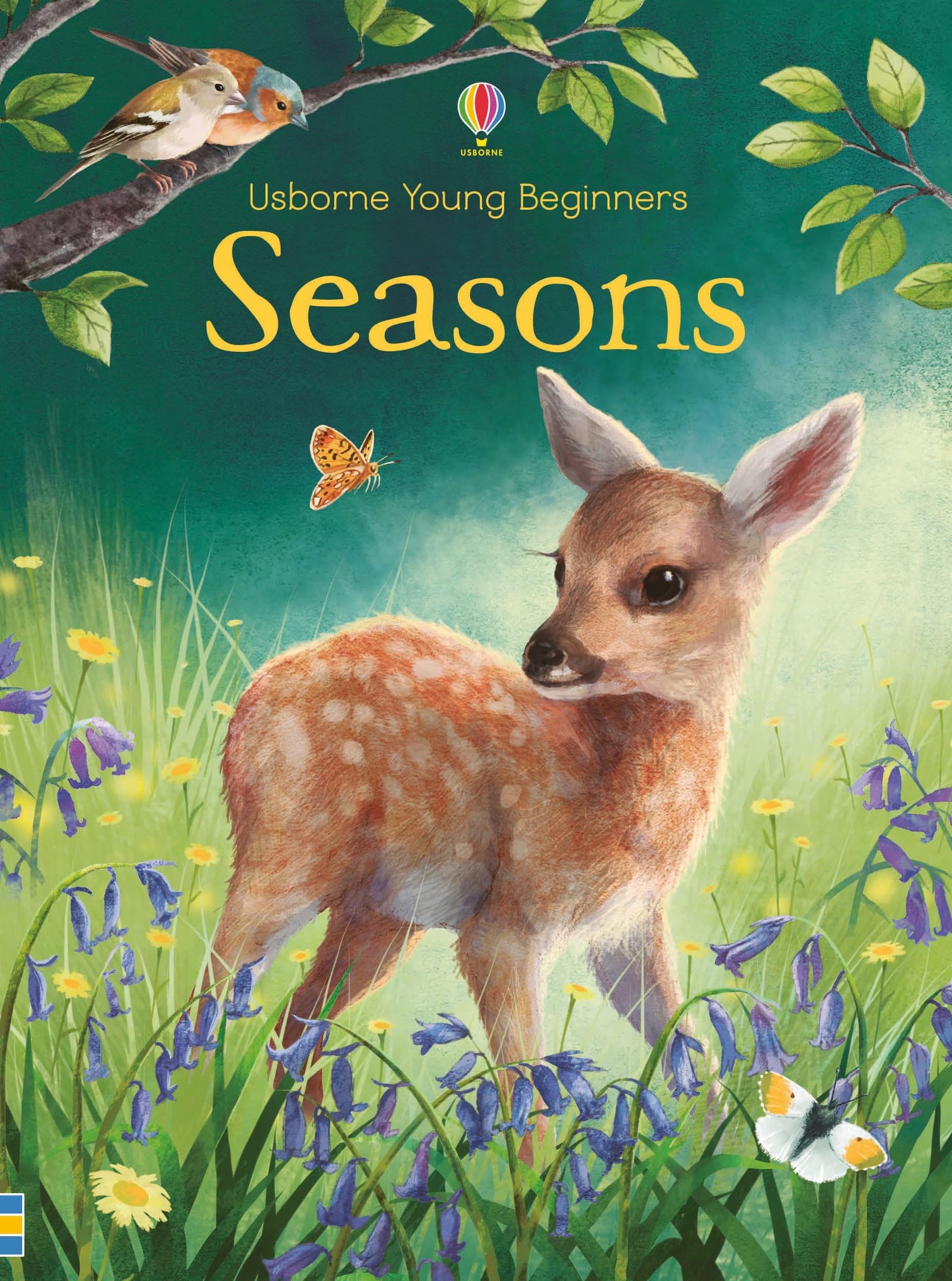 Bone, E: Young Beginners Seasons Non-fiction