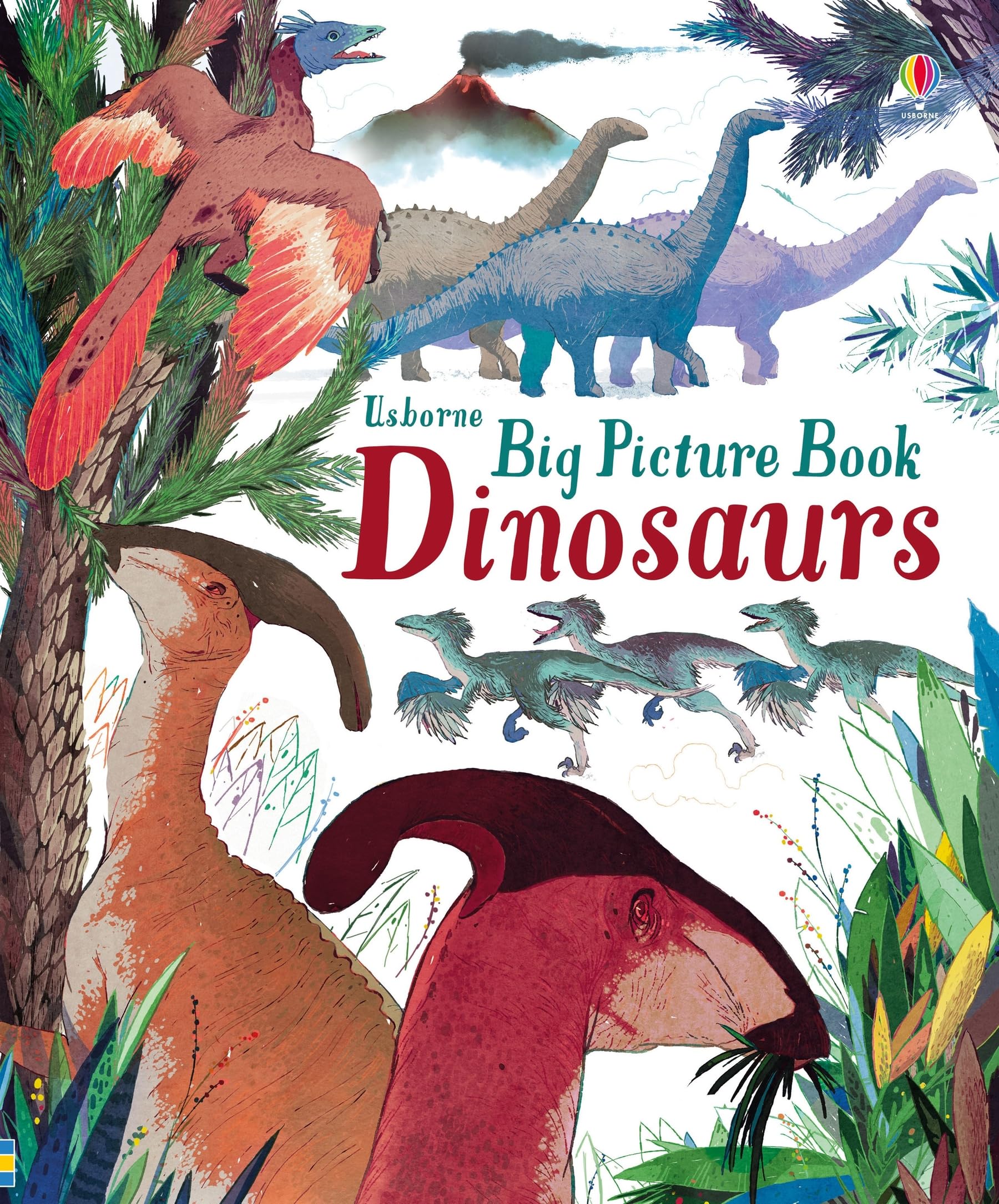 Big Picture Book Dinosaurs (Big Picture Books) Non-fiction