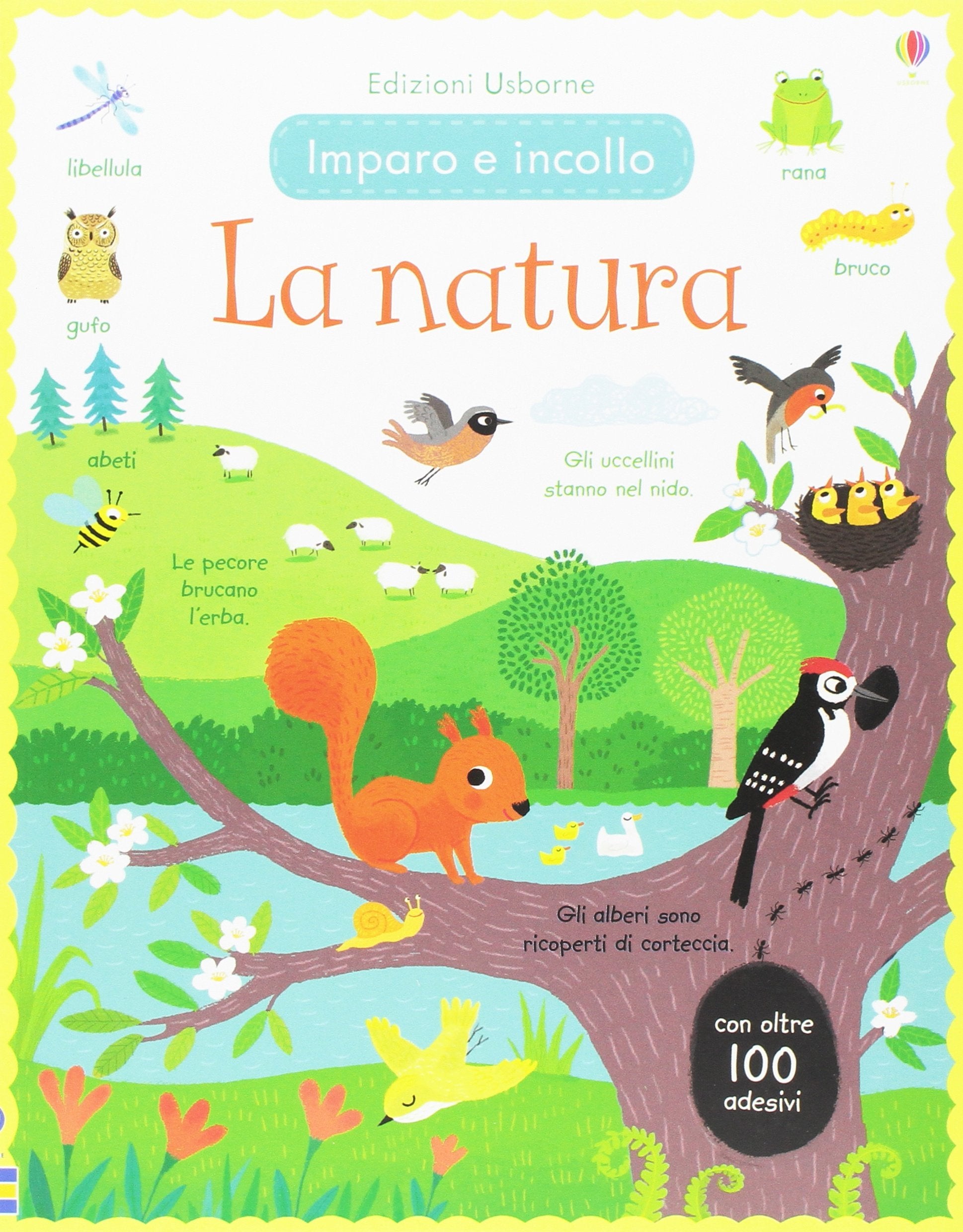 La natura. Imparo e incollo. Ediz. a colori book