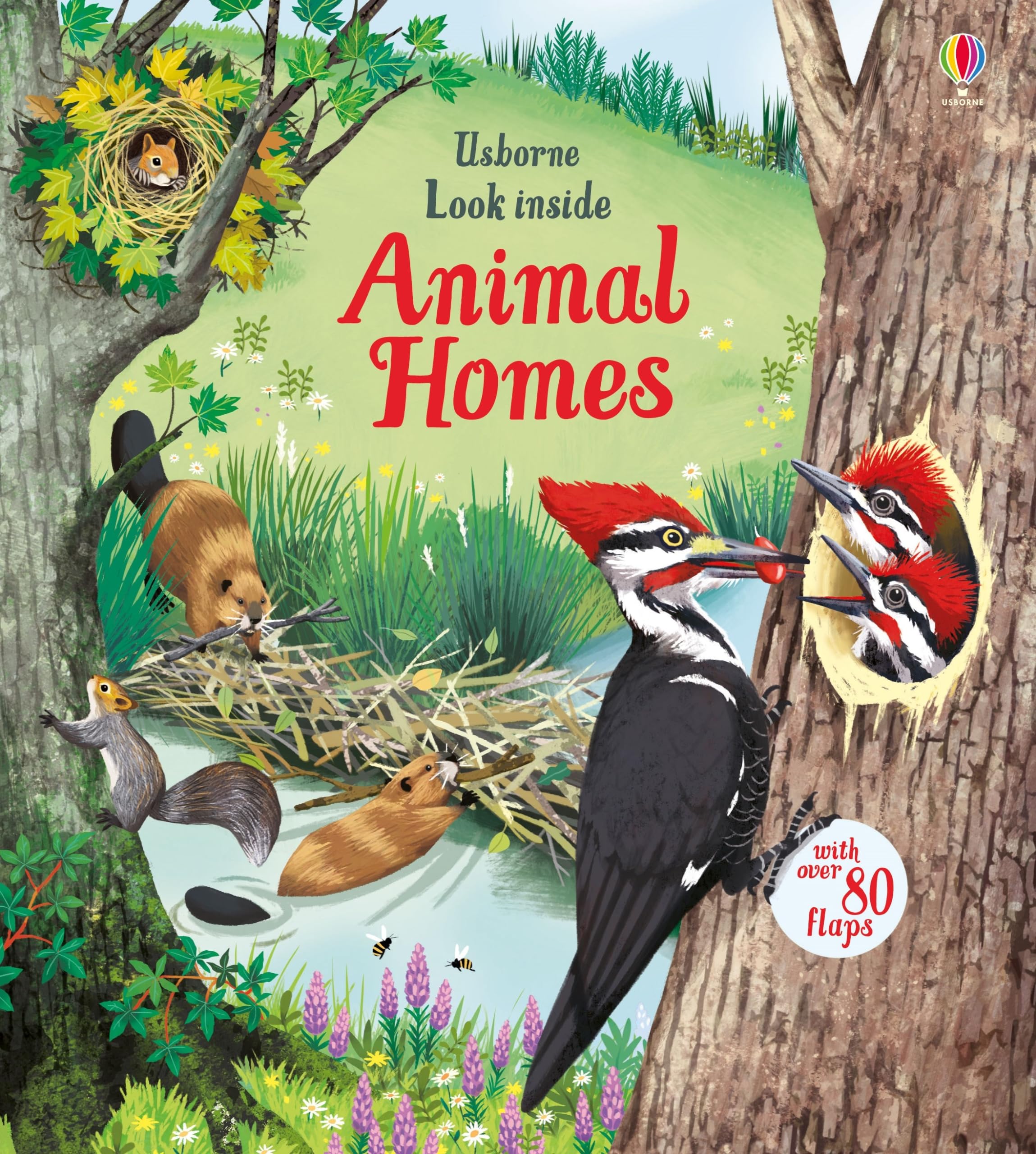 Product Image: Look Inside Animal Homes