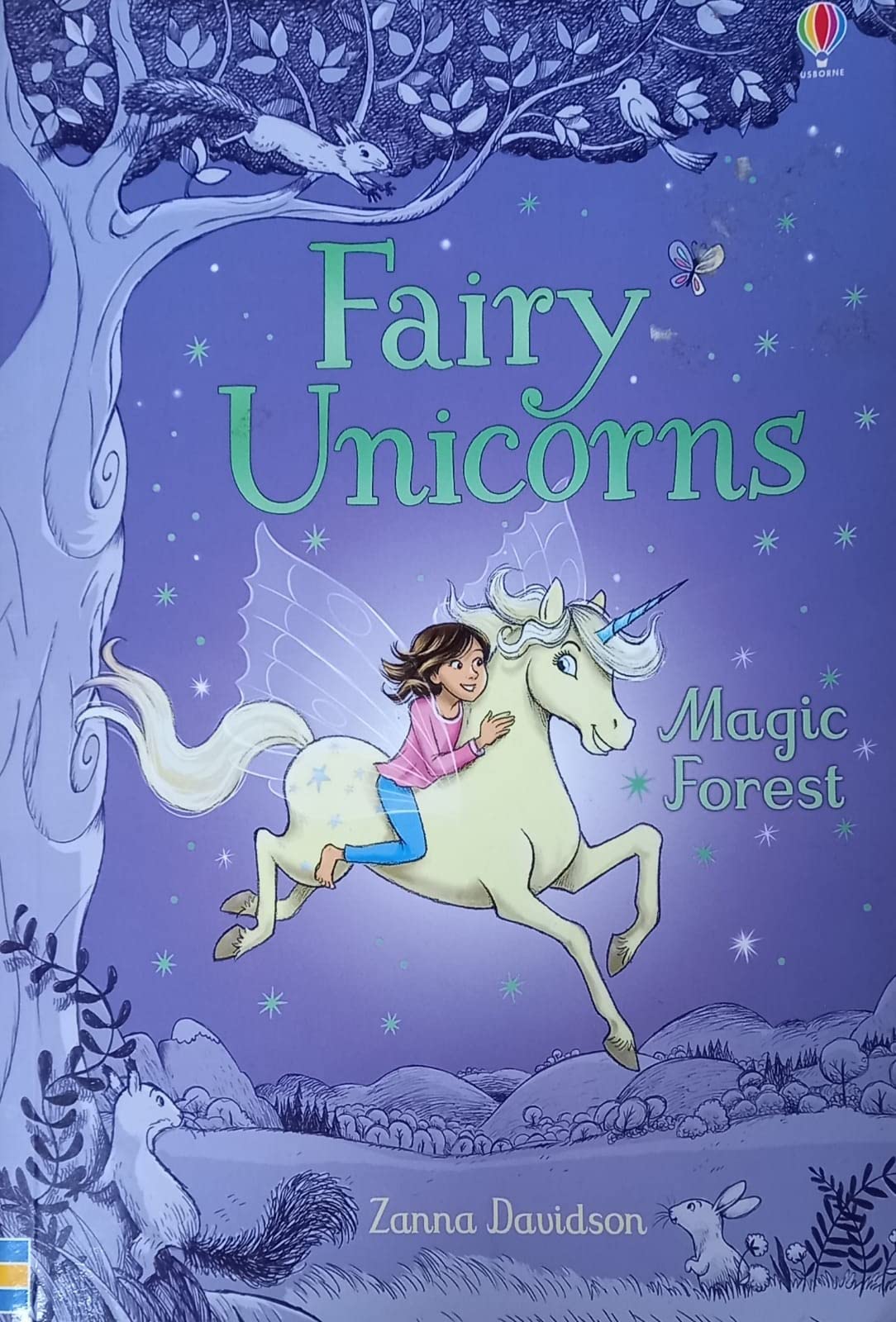 Fairy Unicorns The Magic Forest Professional & Reference Books