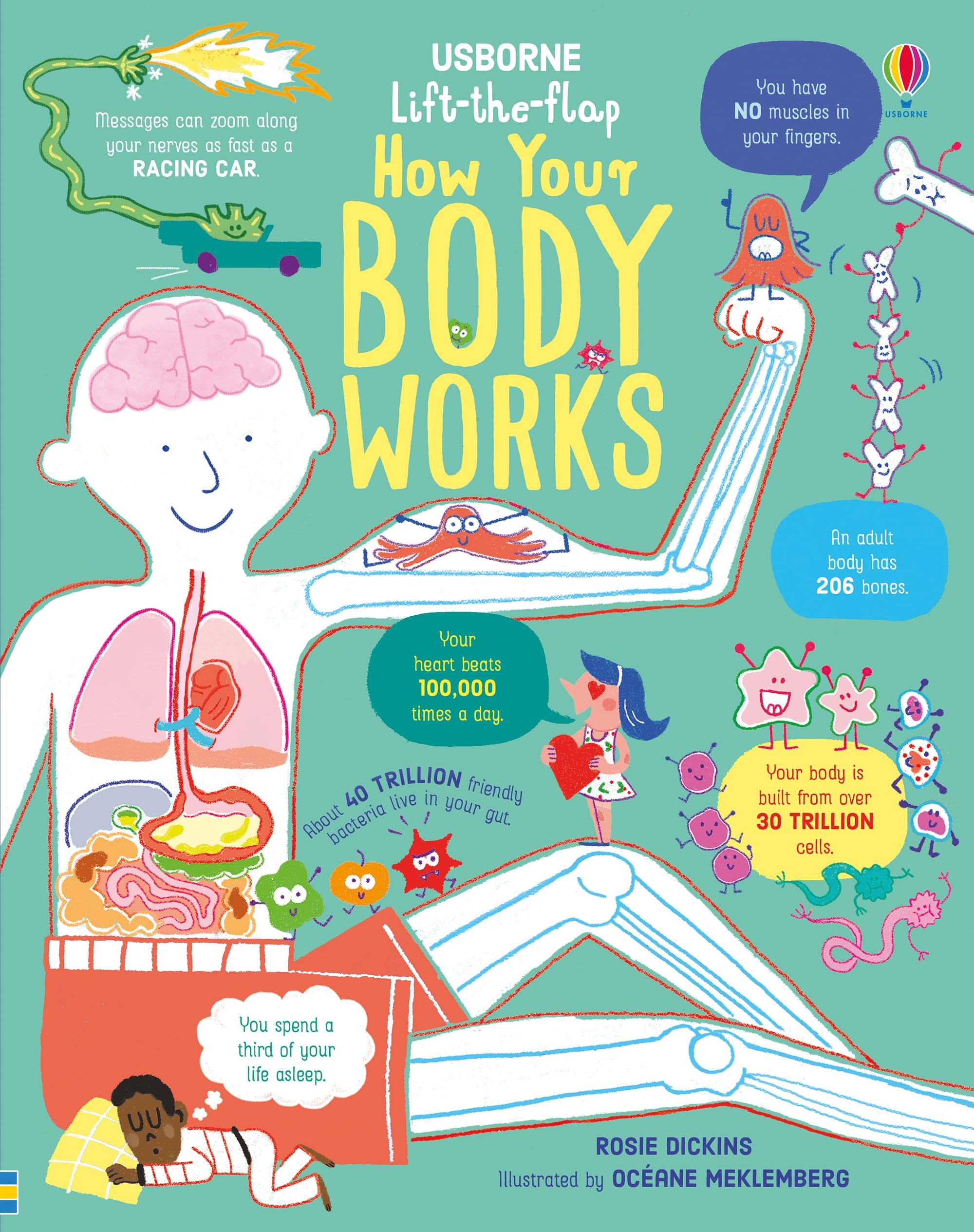 Lift-the-Flap How Your Body Works book