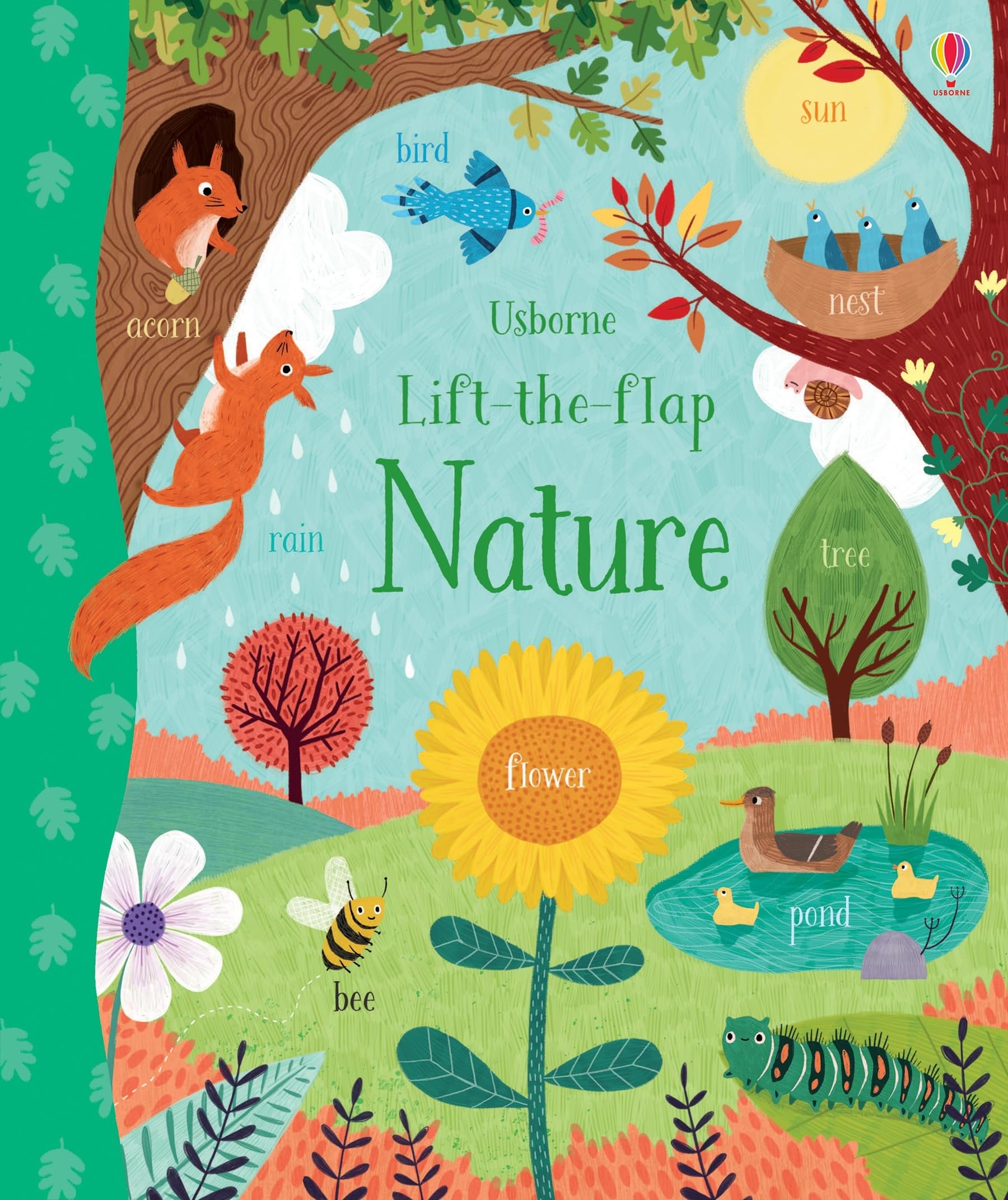 Lift-the-Flap Nature: 1 (Young Lift-the-flap) Hobbies & Crafts