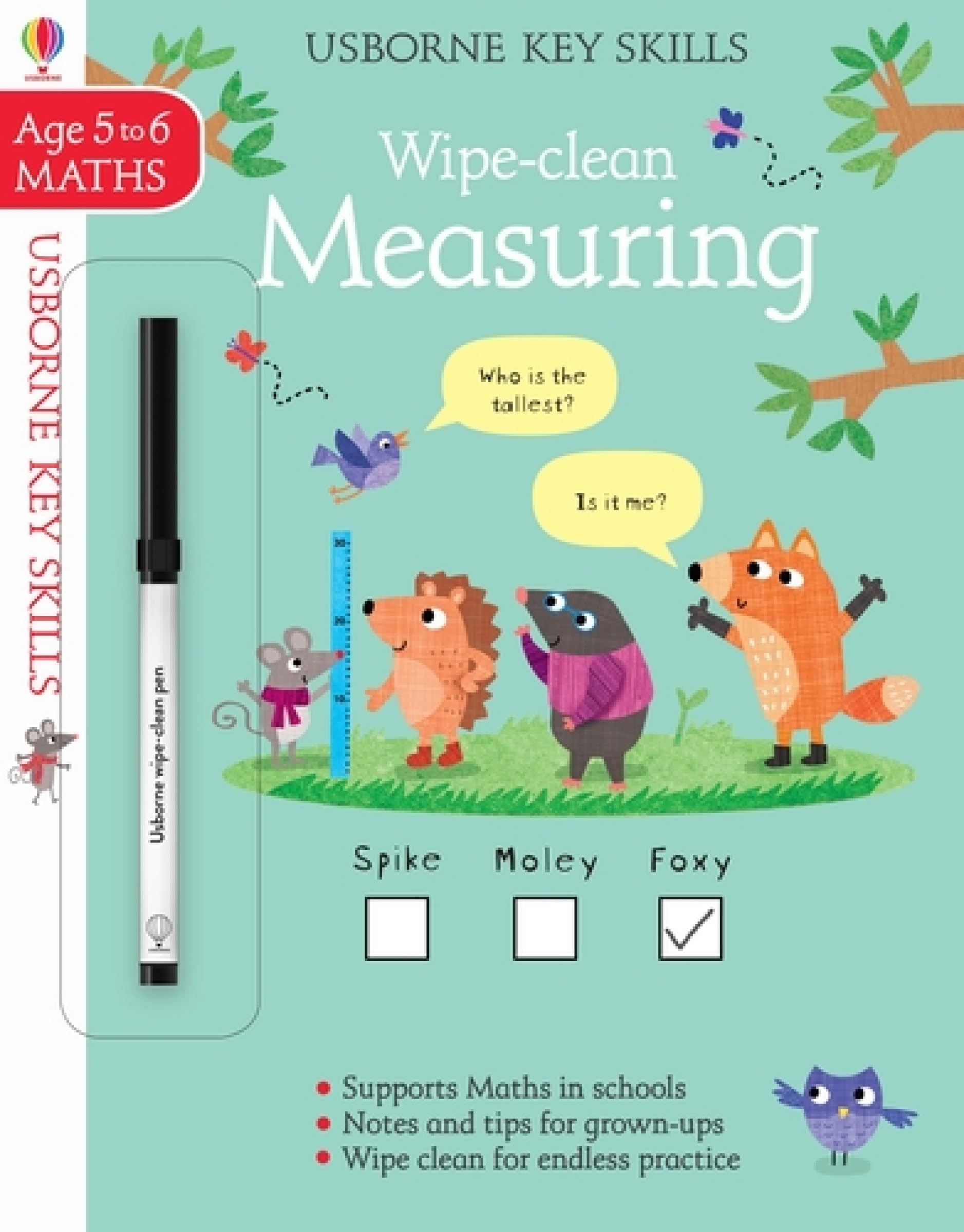 Wipe-Clean Measuring 5-6 (Wipe-Clean Key Skills): 1 Non-fiction