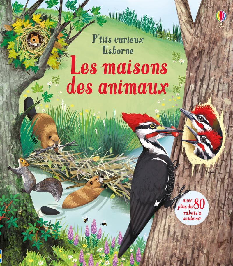Les maisons des animaux - P'tits curieux Usborne Non-fiction