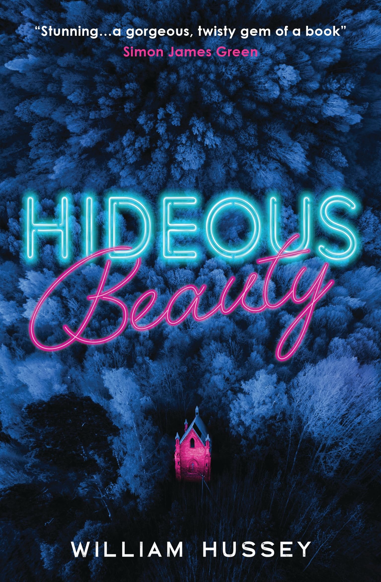 Hideous Beauty Fiction books for children