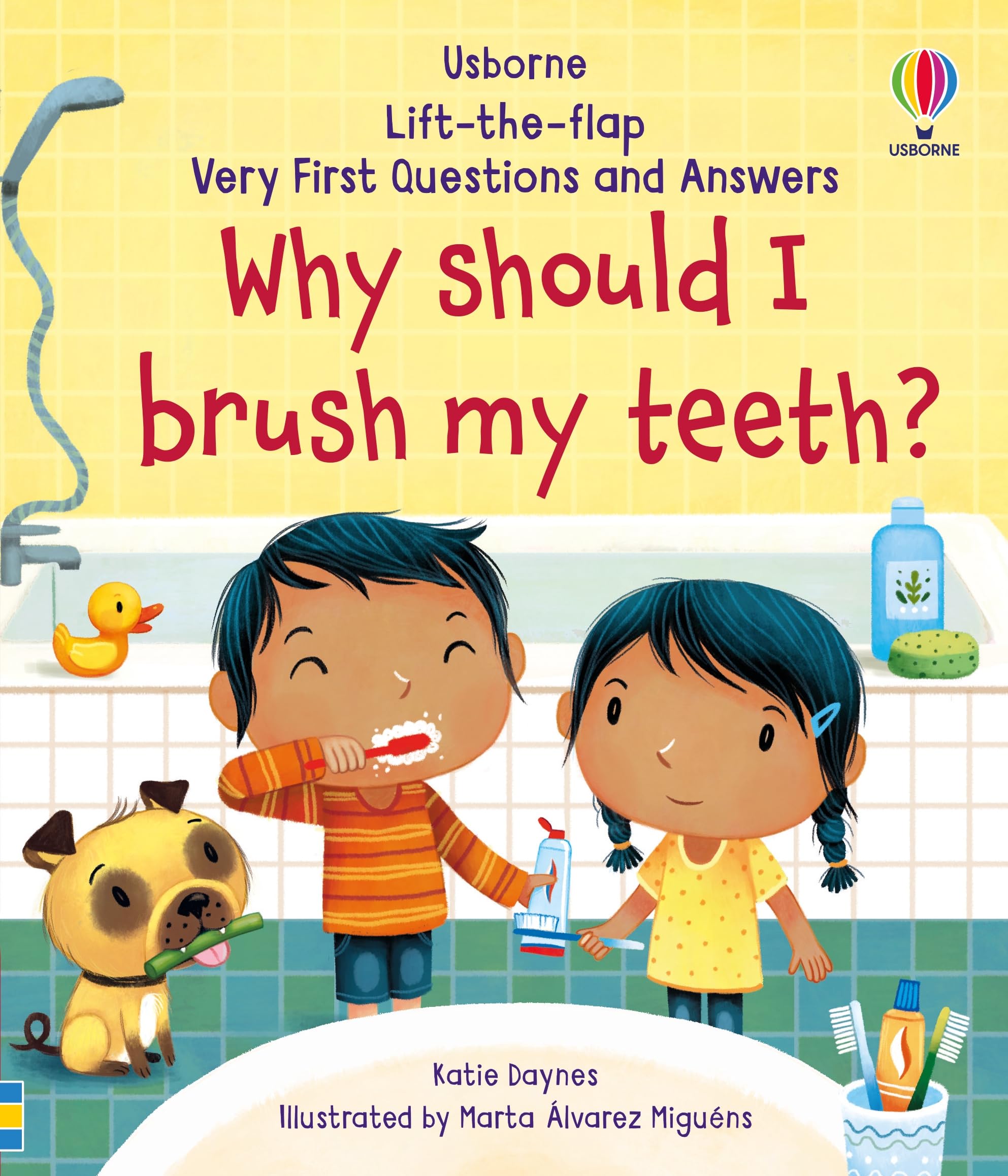 Why Should I Brush My Teeth? (Very First Lift-the-Flap Questions and Answers): 1 (Very First Questions and Answers) Non-fiction