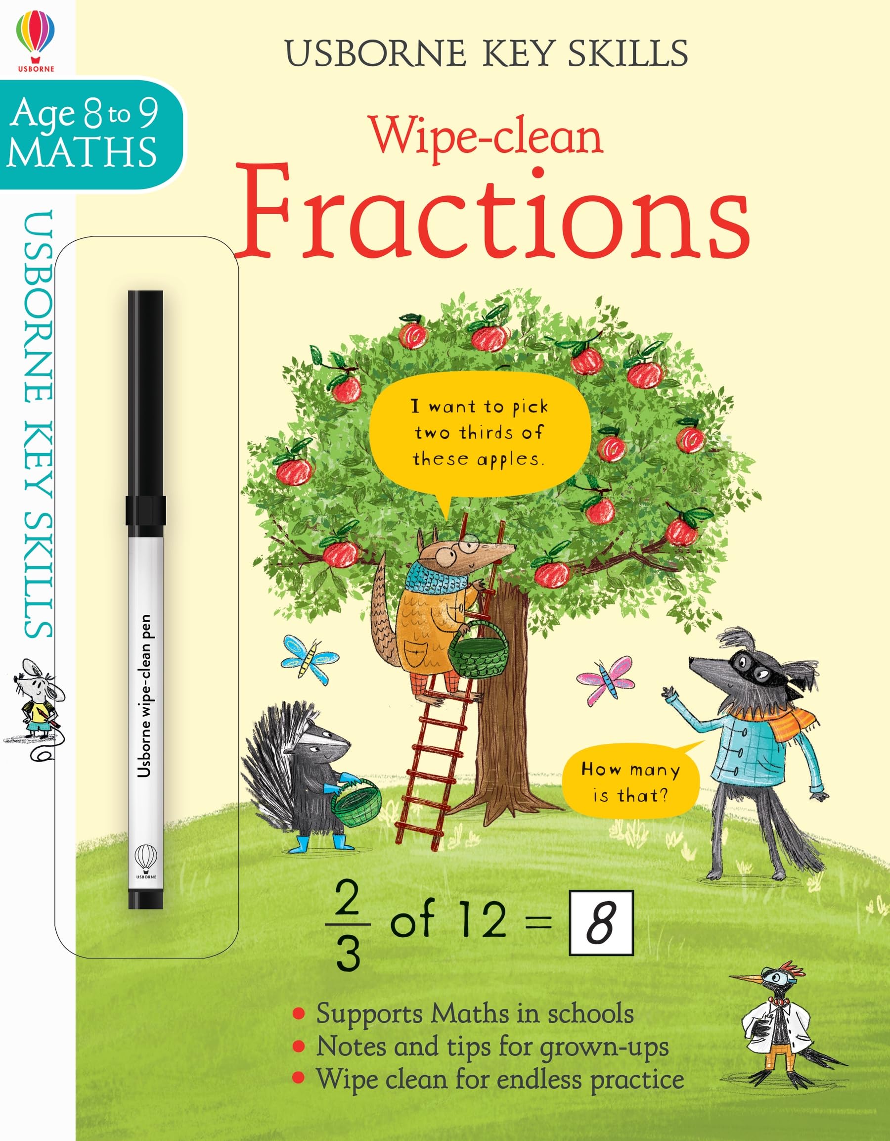 Wipe-clean Fractions 8-9 (Wipe-Clean Key Skills): 1 Novels & Short Stories