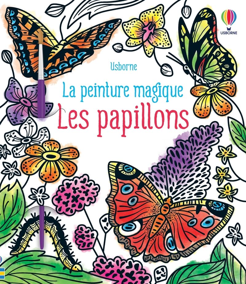 Les papillons - La peinture magique book