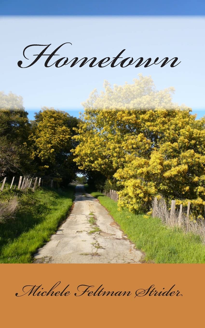Hometown (The Home Series, Band 2) Contemporary literature