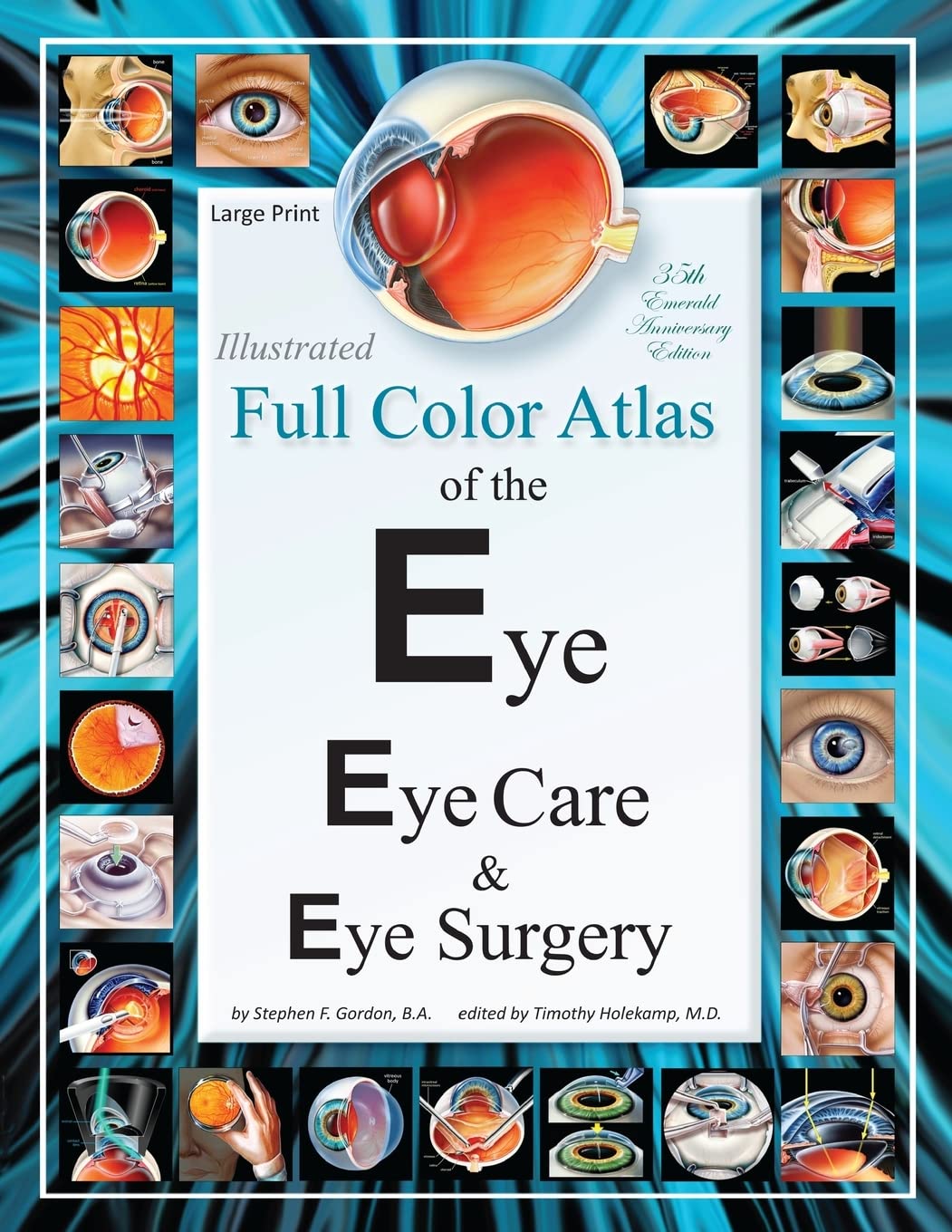 Illustrated Full Color Atlas of the Eye, Eye Care, and Eye Surgery - LARGE PRINT Edition book