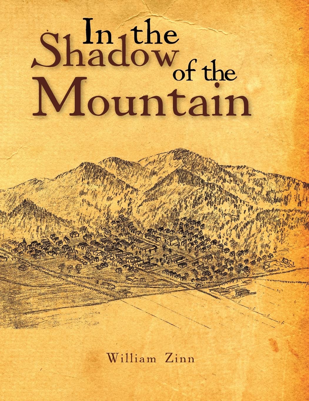In the Shadow of the Mountain Contemporary literature