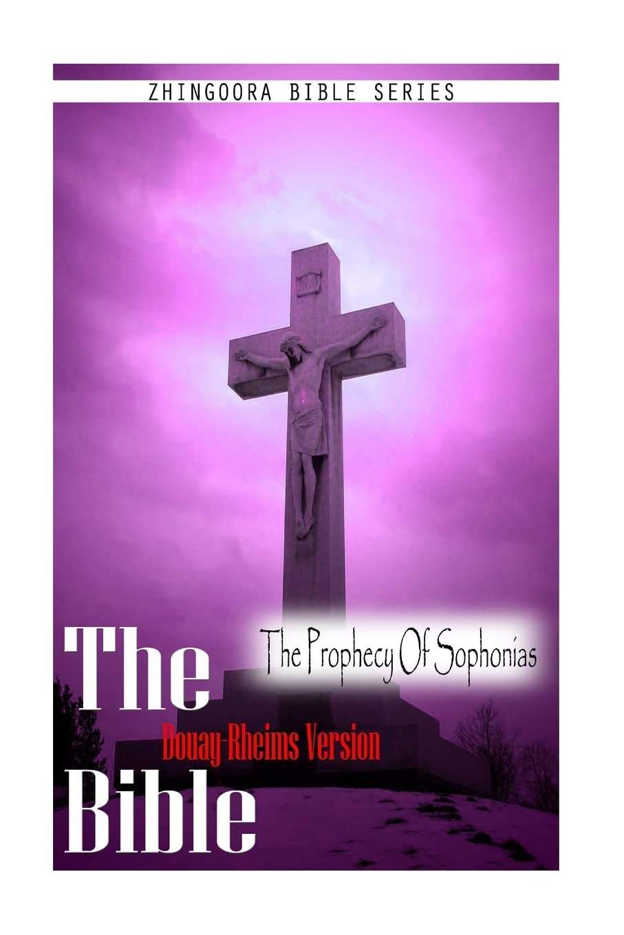 The Bible, Douay Rheims Version- The Prophecy Of Sophonias Religion & Esotericism