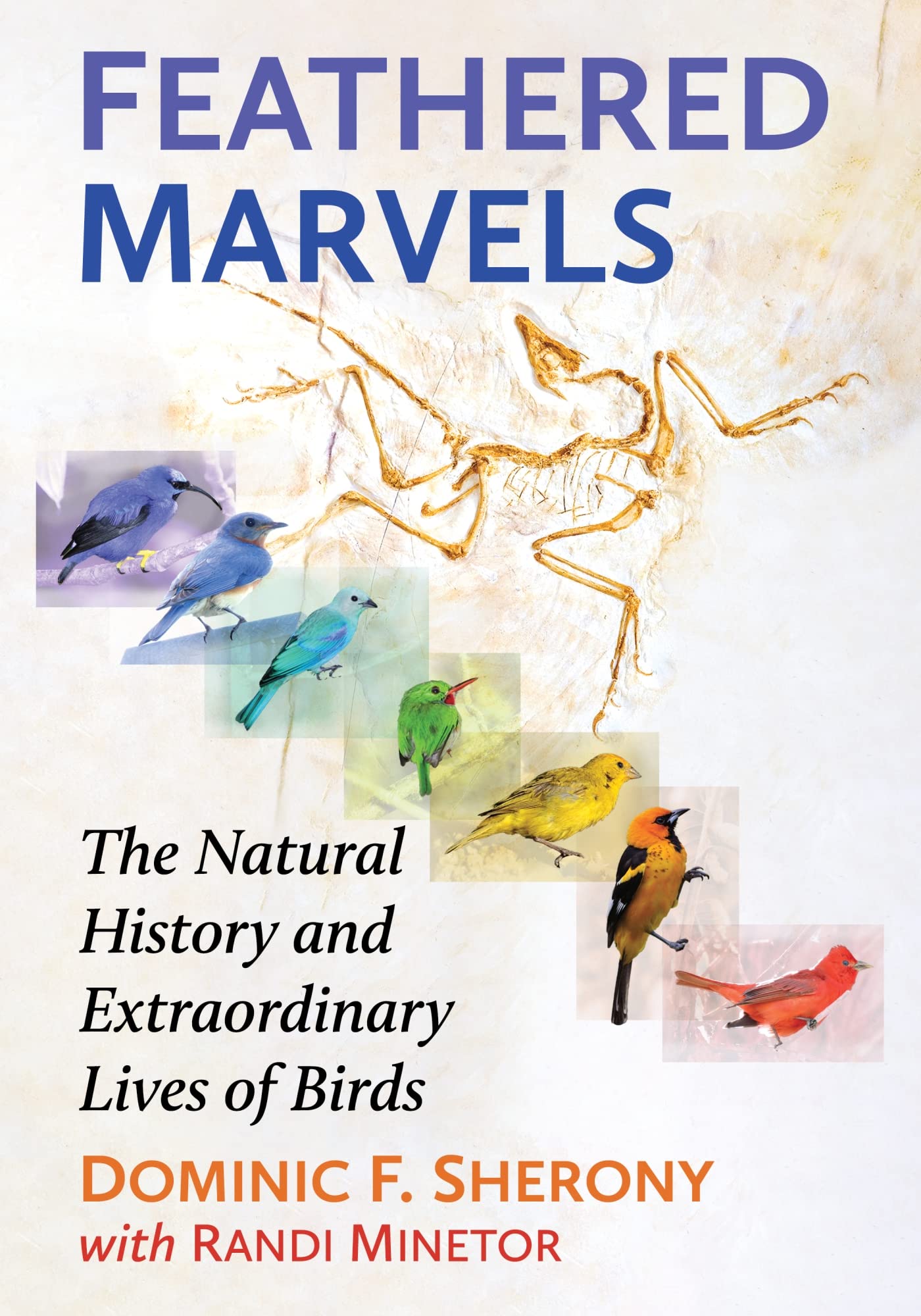 Feathered Marvels: The Natural History and Extraordinary Lives of Birds Mathematics