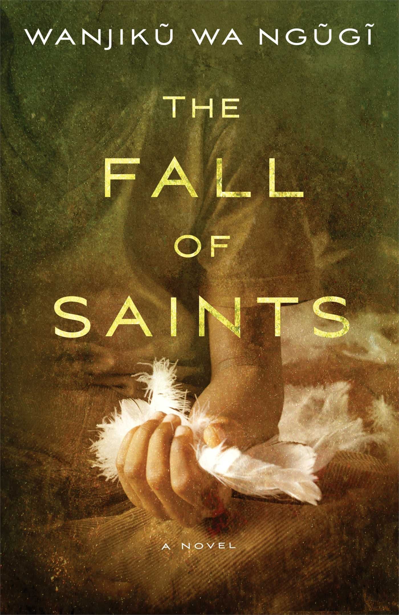 The Fall of Saints: A Novel Contemporary literature