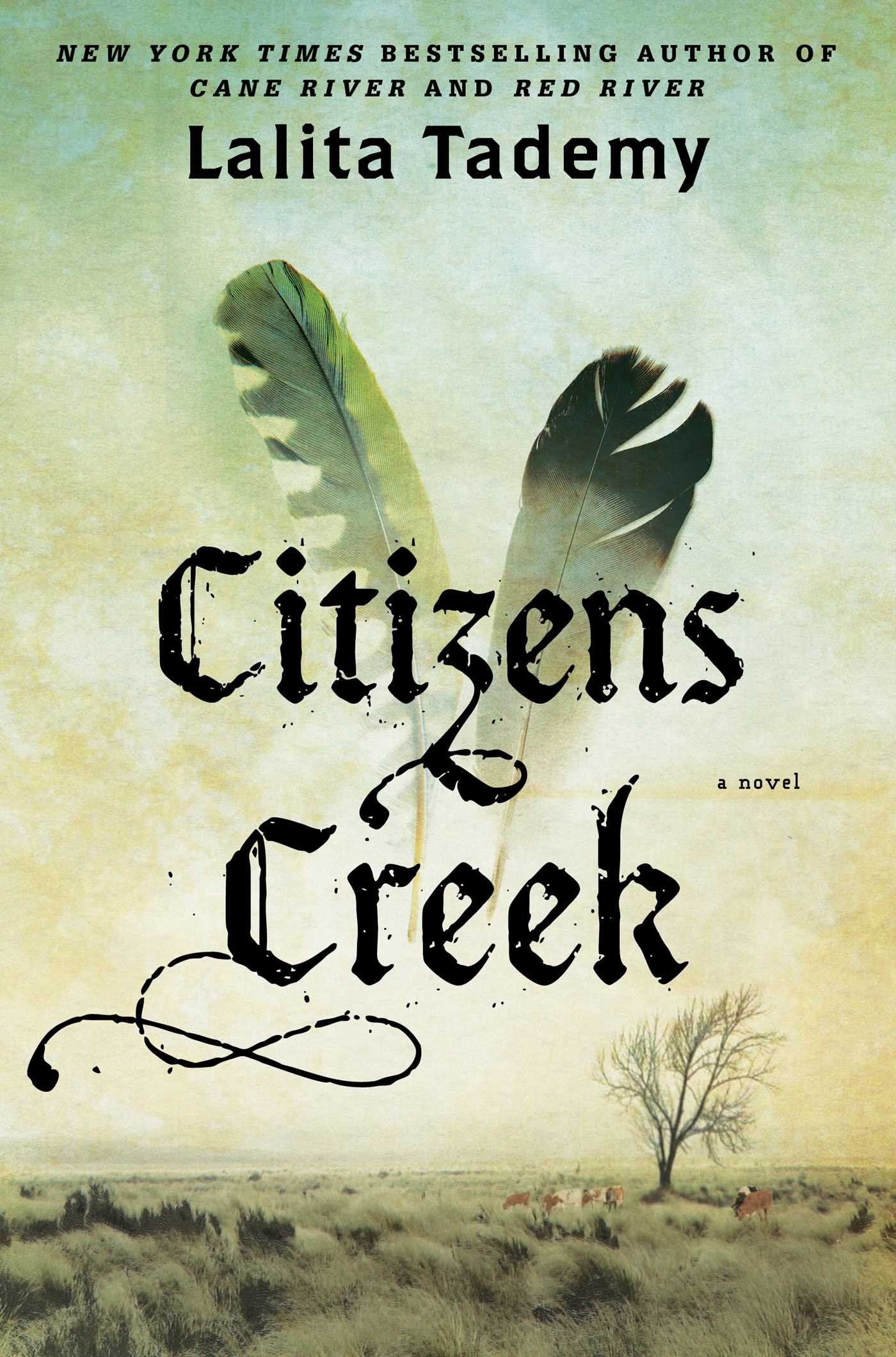 Citizens Creek: A Novel Contemporary literature
