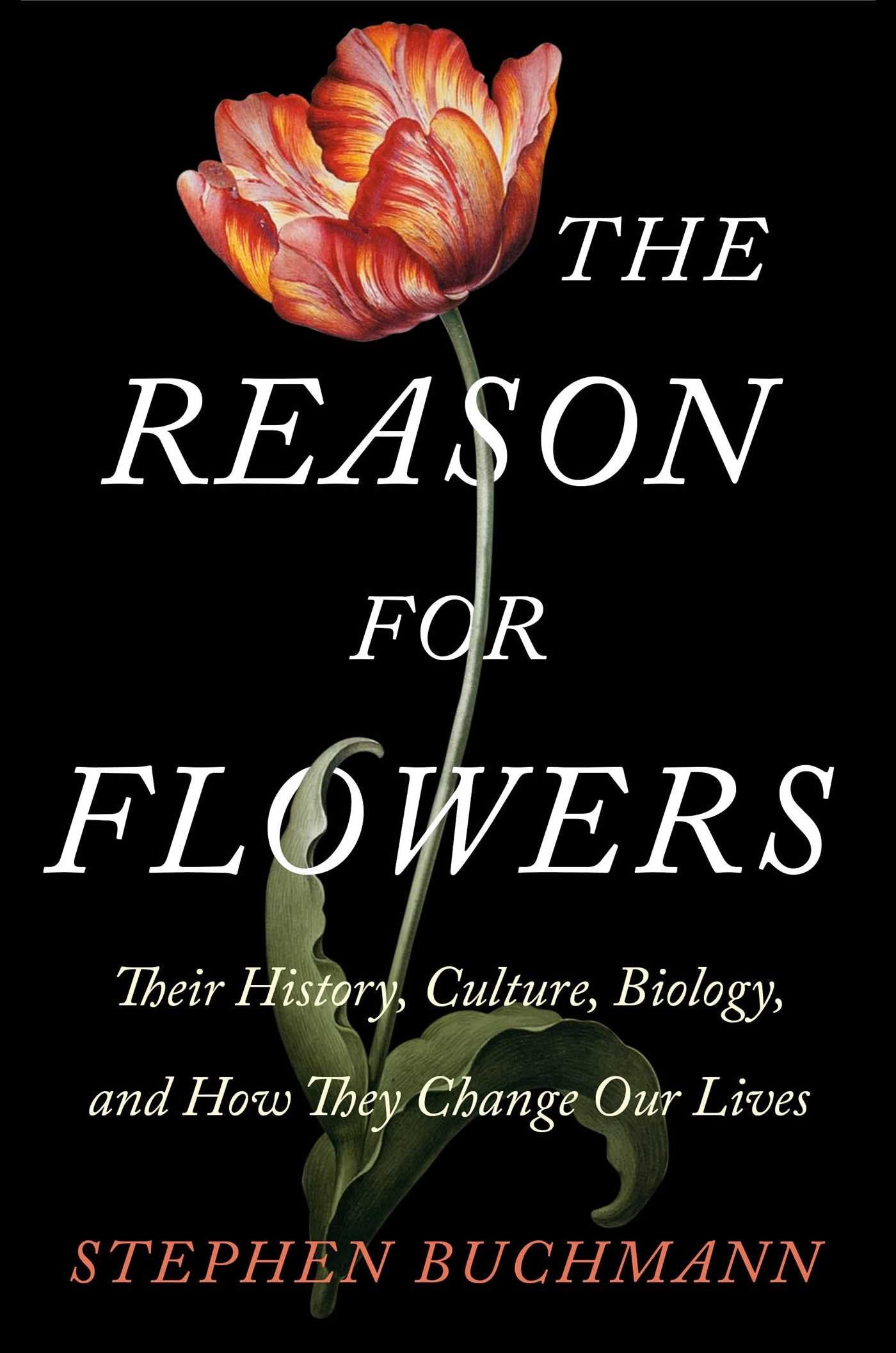 The Reason for Flowers: Their History, Culture, Biology, and How They Change Our Lives Mathematics