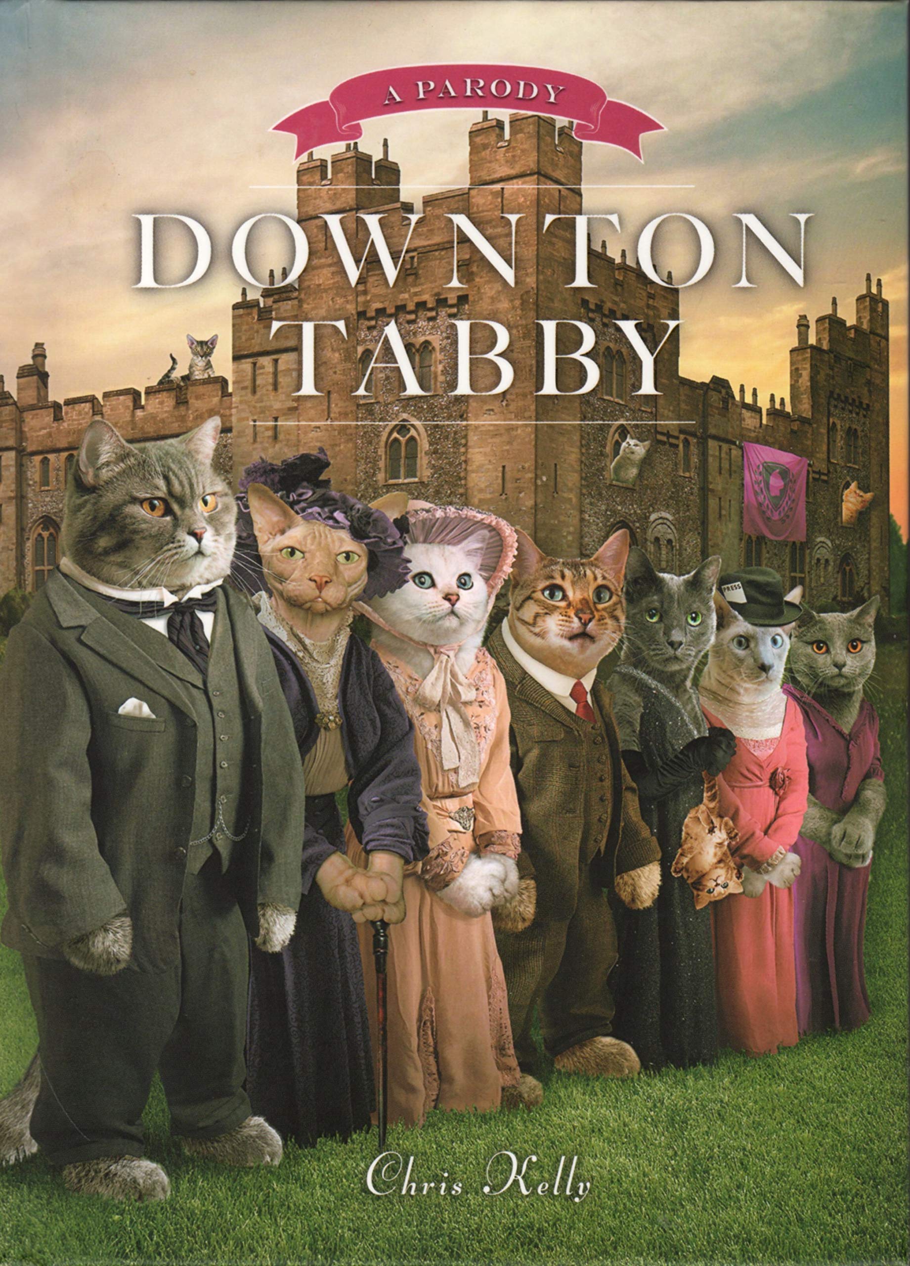 Downton Tabby Humour & Satire