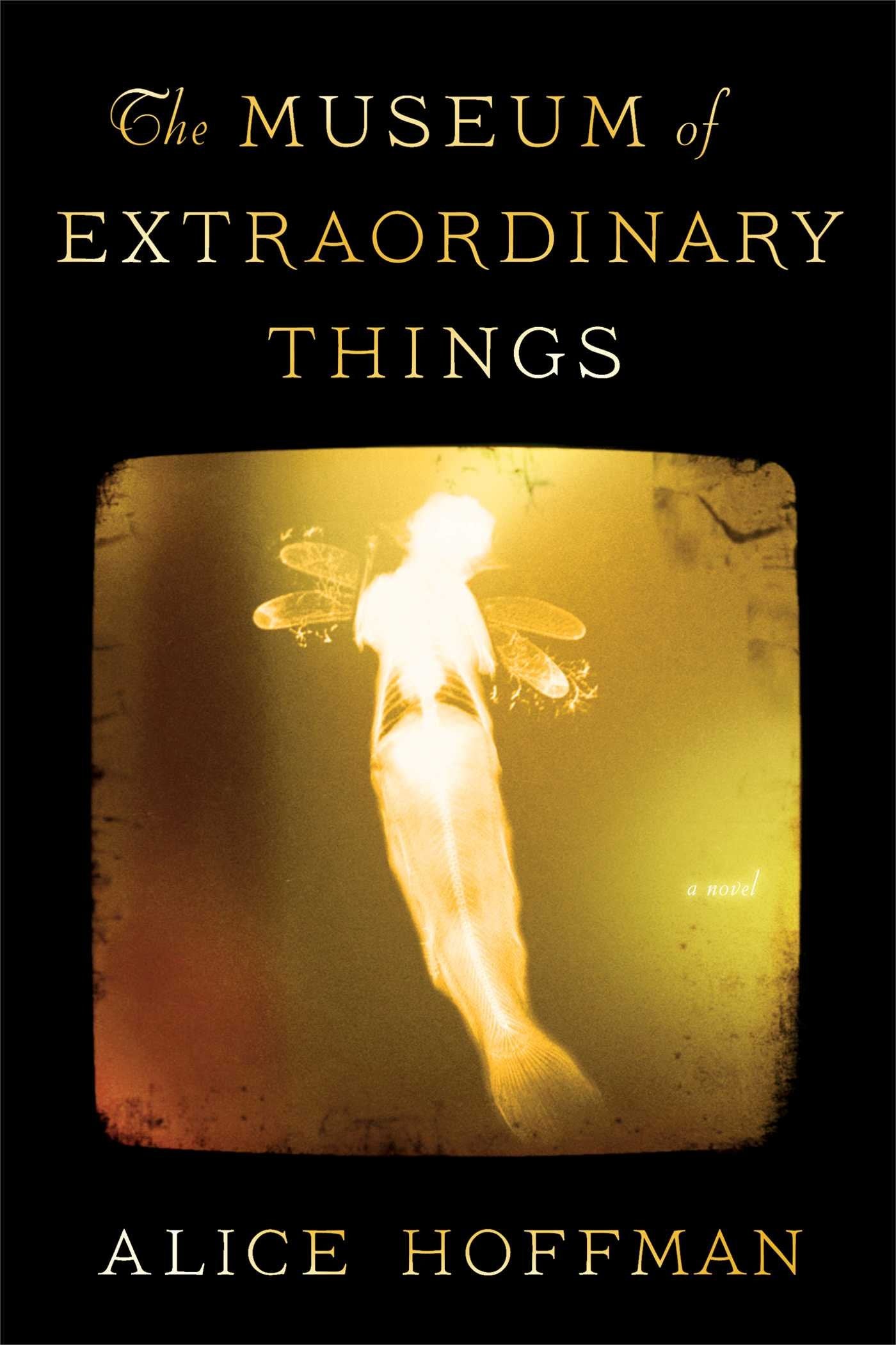 The Museum of Extraordinary Things: A Novel Historical Fiction