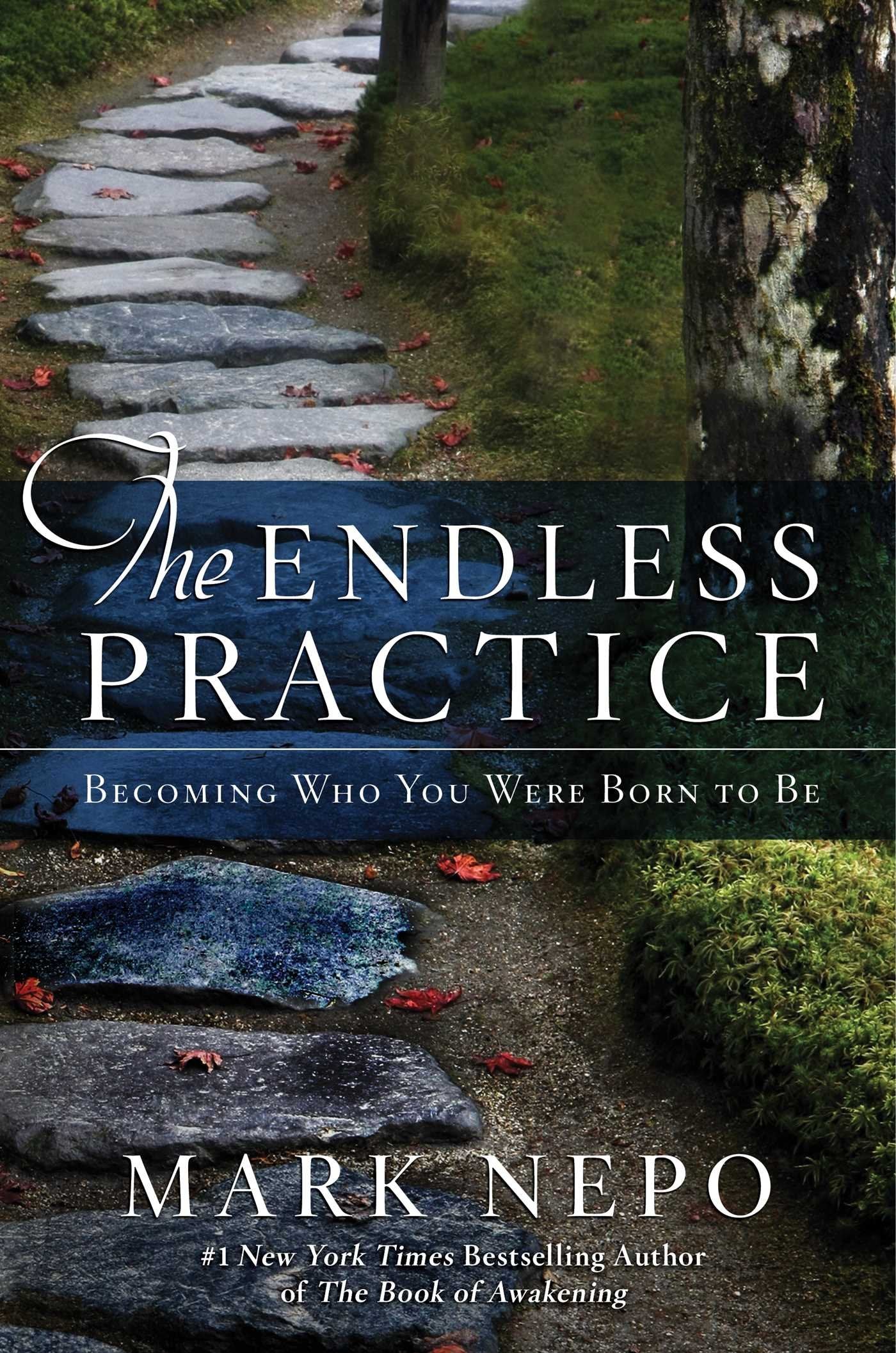 The Endless Practice: Becoming Who You Were Born to Be book