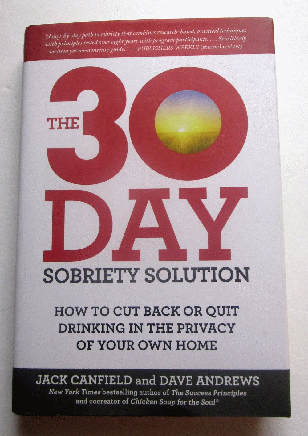 The 30-Day Sobriety Solution: How to Cut Back or Quit Drinking in the Privacy of Your Own Home book