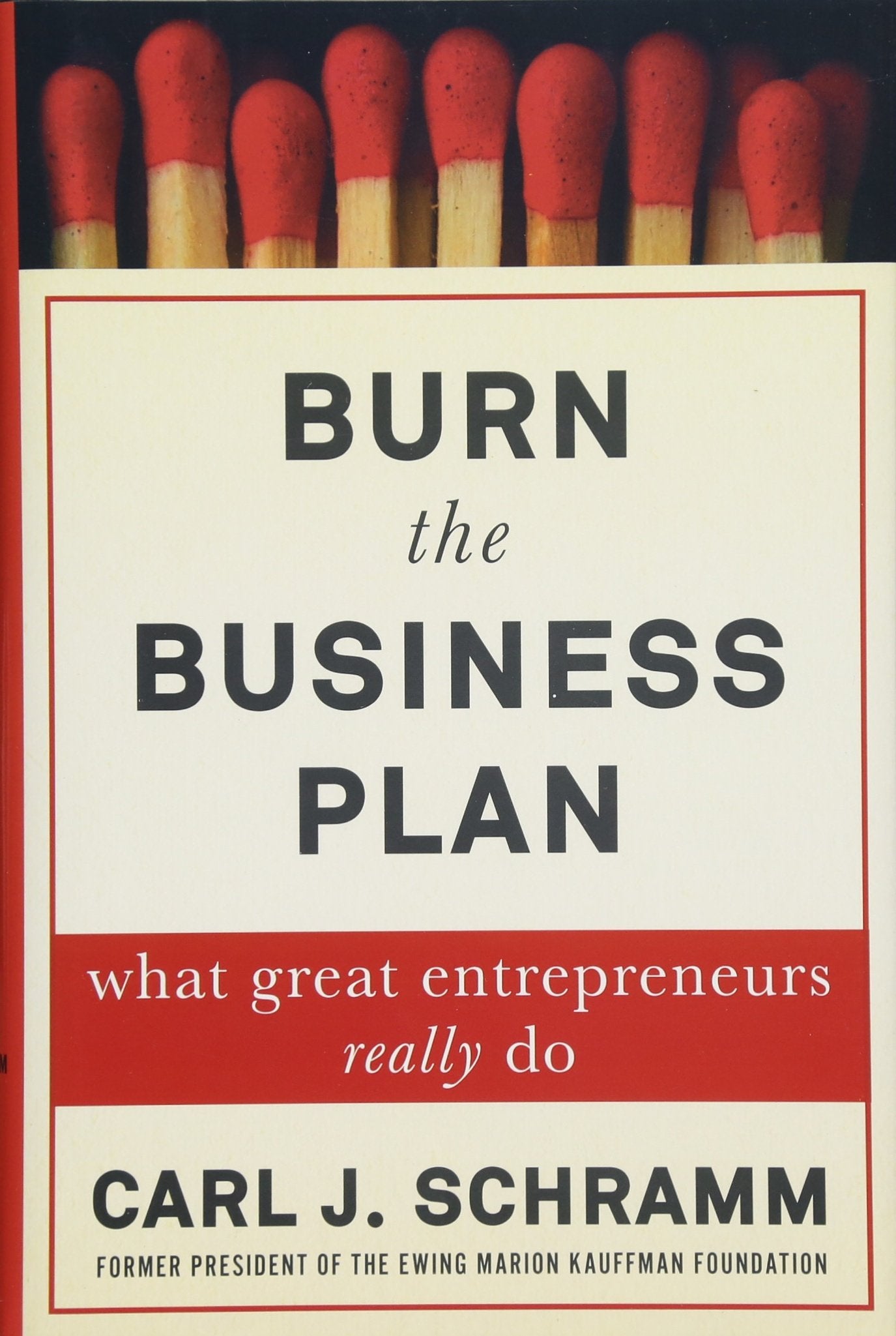 Burn the Business Plan: What Great Entrepreneurs Really Do Business, Finance & Career