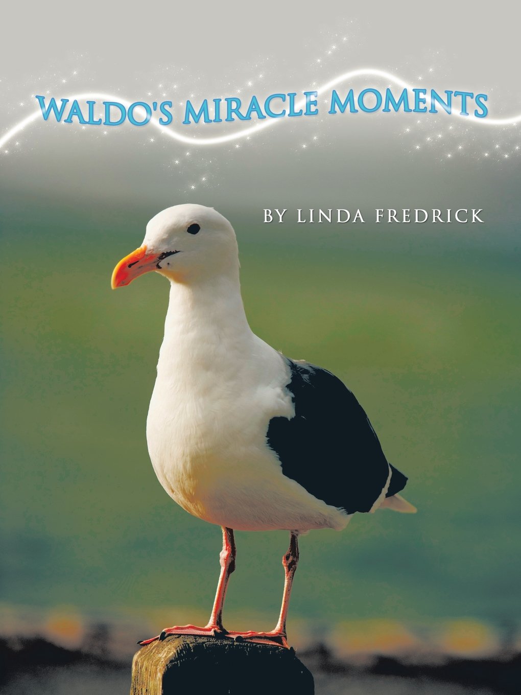 Product Image: Waldo's Miracle Moments