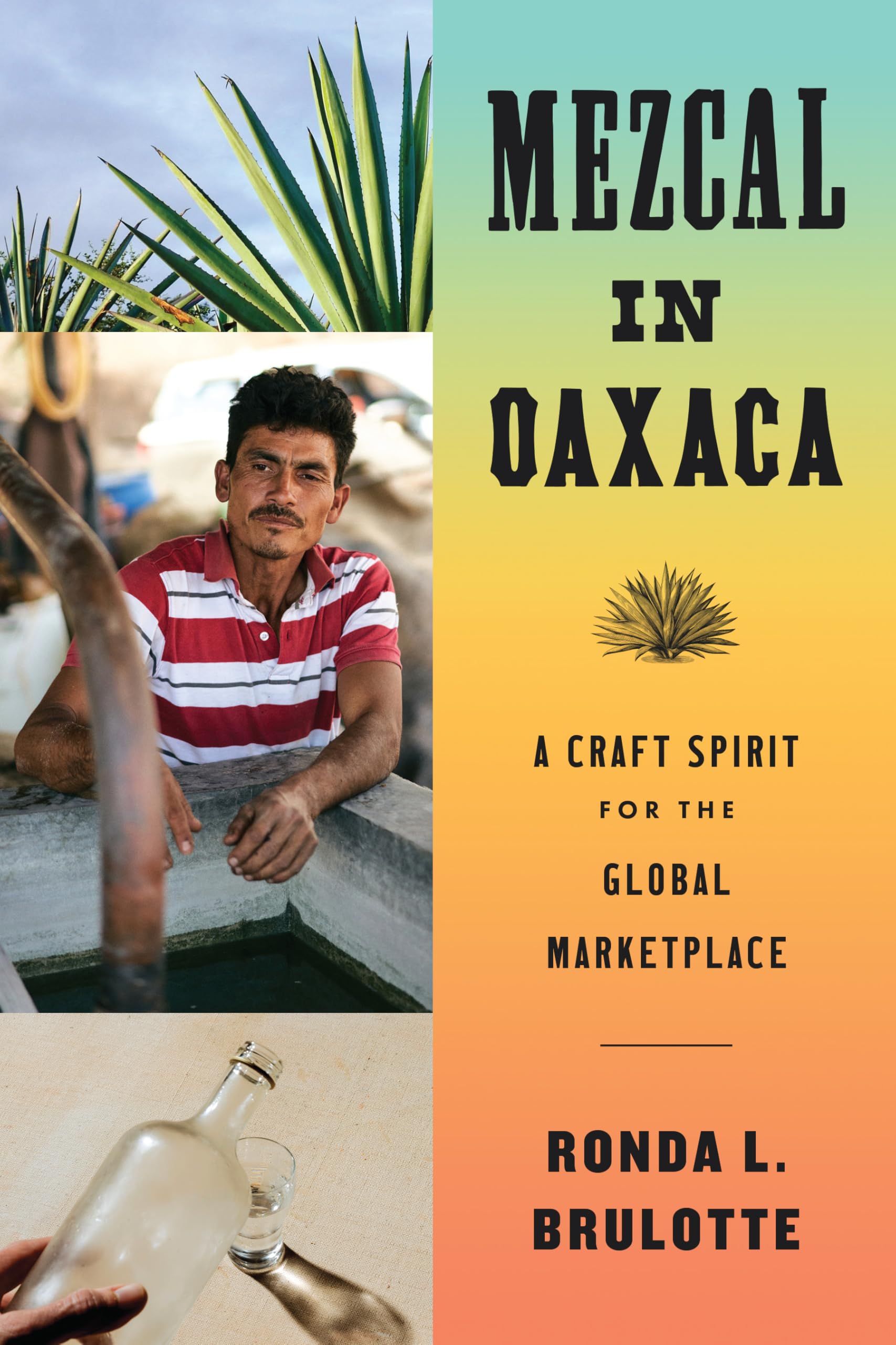 Mezcal in Oaxaca: A Craft Spirit for the Global Marketplace (Joe R. and Teresa Lozano Long in Latin American and Latino Art and Culture) Books