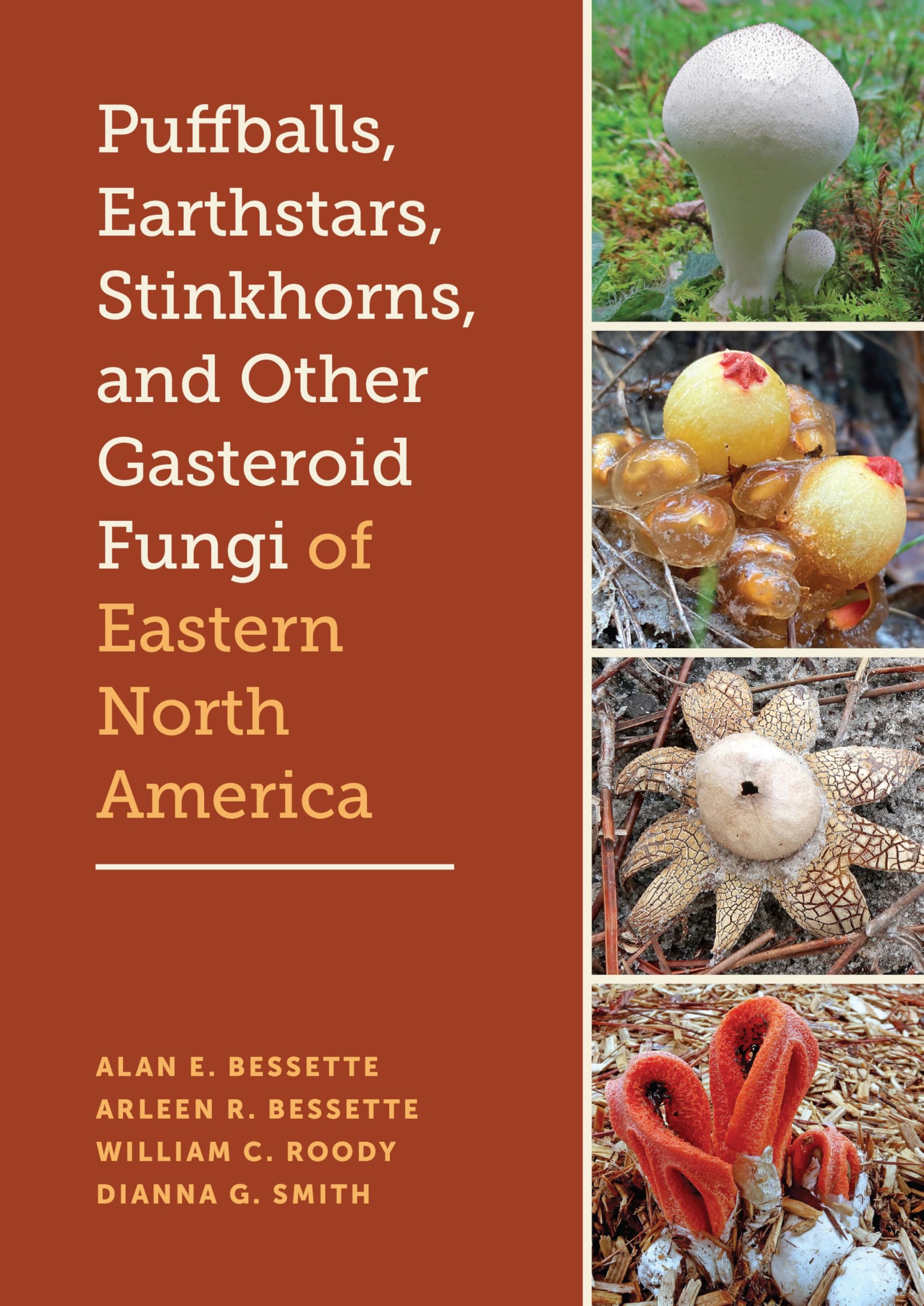 Puffballs, Earthstars, Stinkhorns, and Other Gasteroid Fungi of Eastern North America Mathematics