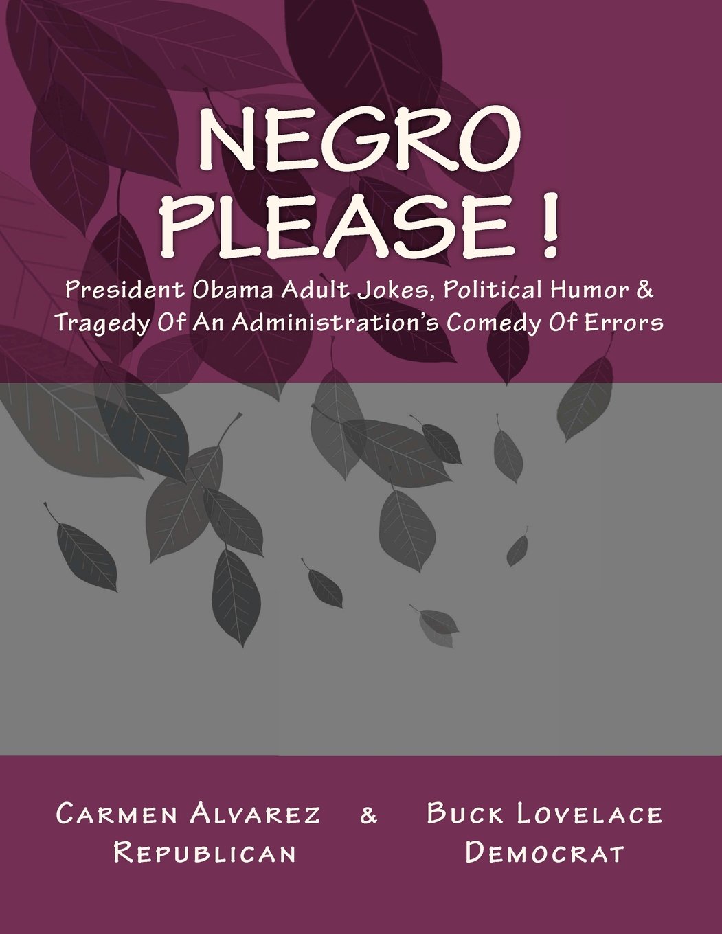 Negro Please: Adult Political Humor & Tragedy Thanks to the Obama Administration's Comedy of Errors Politics & History