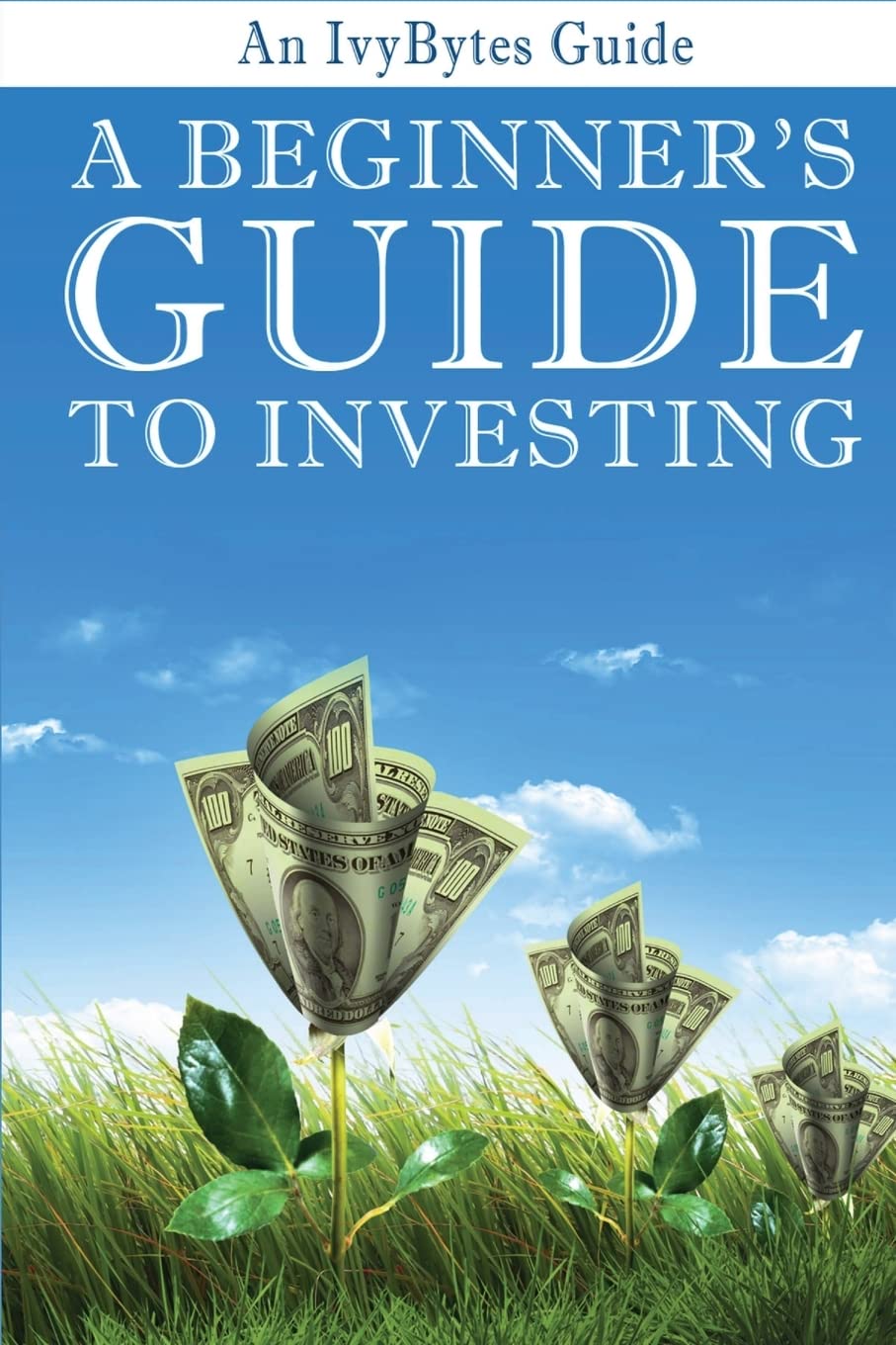 A Beginner's Guide to Investing: How to Grow Your Money the Smart and Easy Way Business, Finance & Career