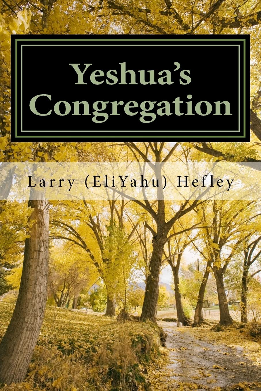 Yeshua's Congregation: Sharing and Discipling Second hand books on Religion & Esotericism