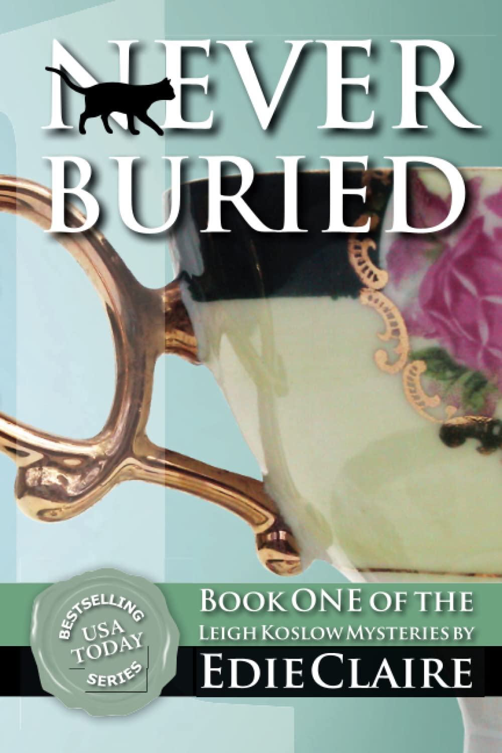 Never Buried (Leigh Koslow Mystery Series, Band 1) Cosy Mystery & Humour