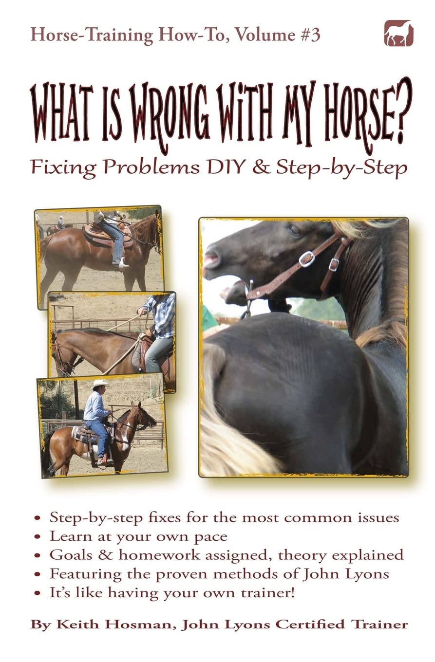 What Is Wrong with My Horse?: Fixing Problems DIY & Step-by-Step (Horse Training How-To, Band 3) Pets