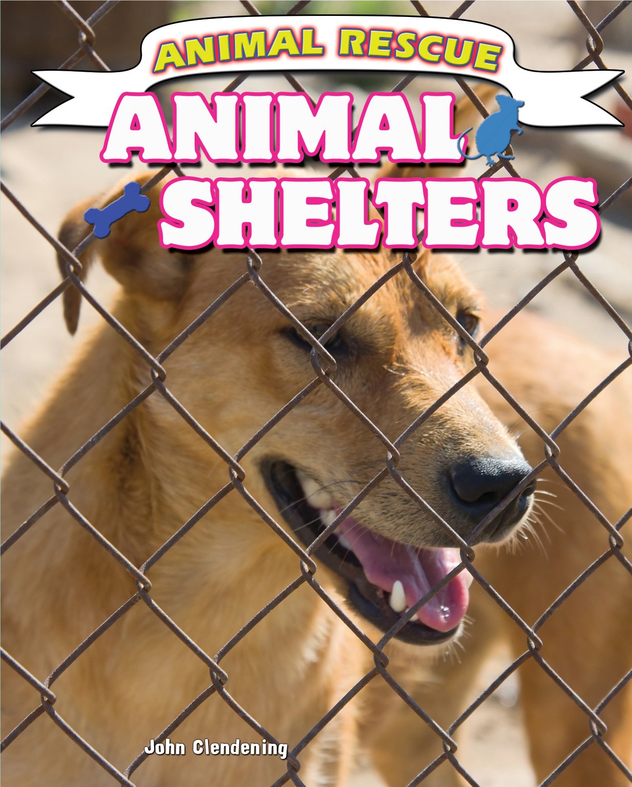 Animal Shelters (Animal Rescue) Non-fiction