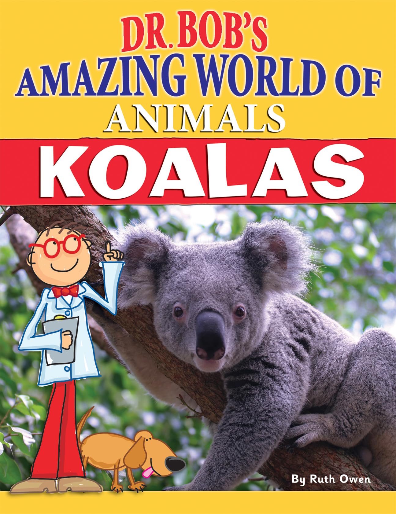 Koalas (Dr. Bob's Amazing World of Animals) Mathematics