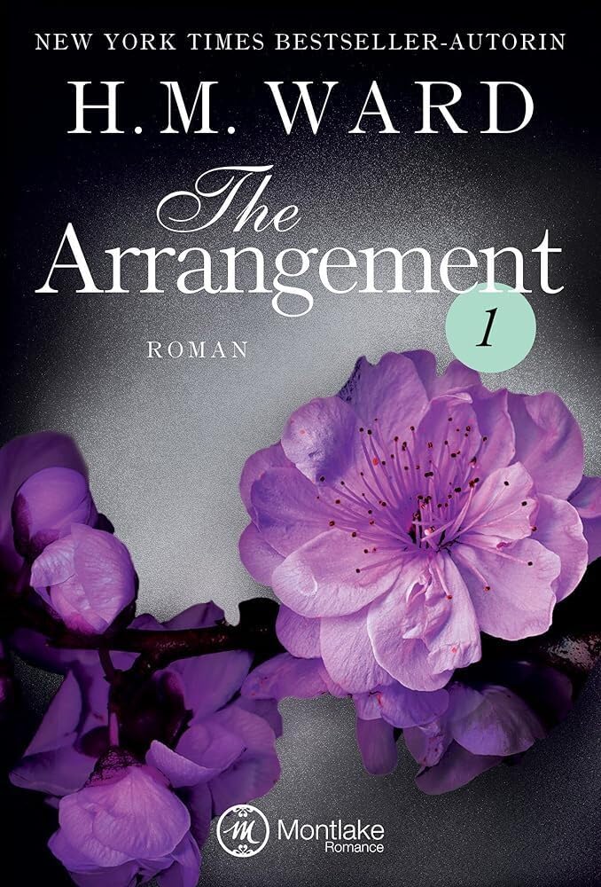 The Arrangement 1 (Die Familie Ferro, Band 1) Contemporary literature