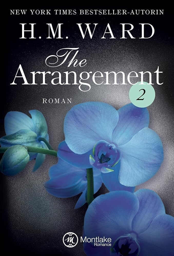 The Arrangement 2 (Die Familie Ferro, Band 2) Contemporary literature