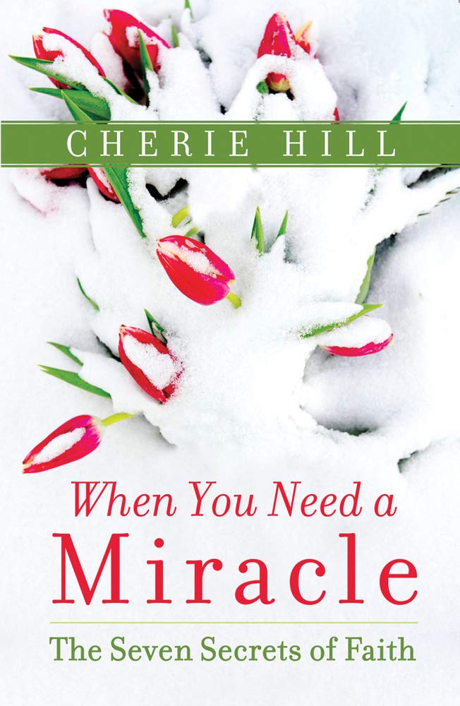 When You Need a Miracle: The Seven Secrets of Faith Religion & Esotericism