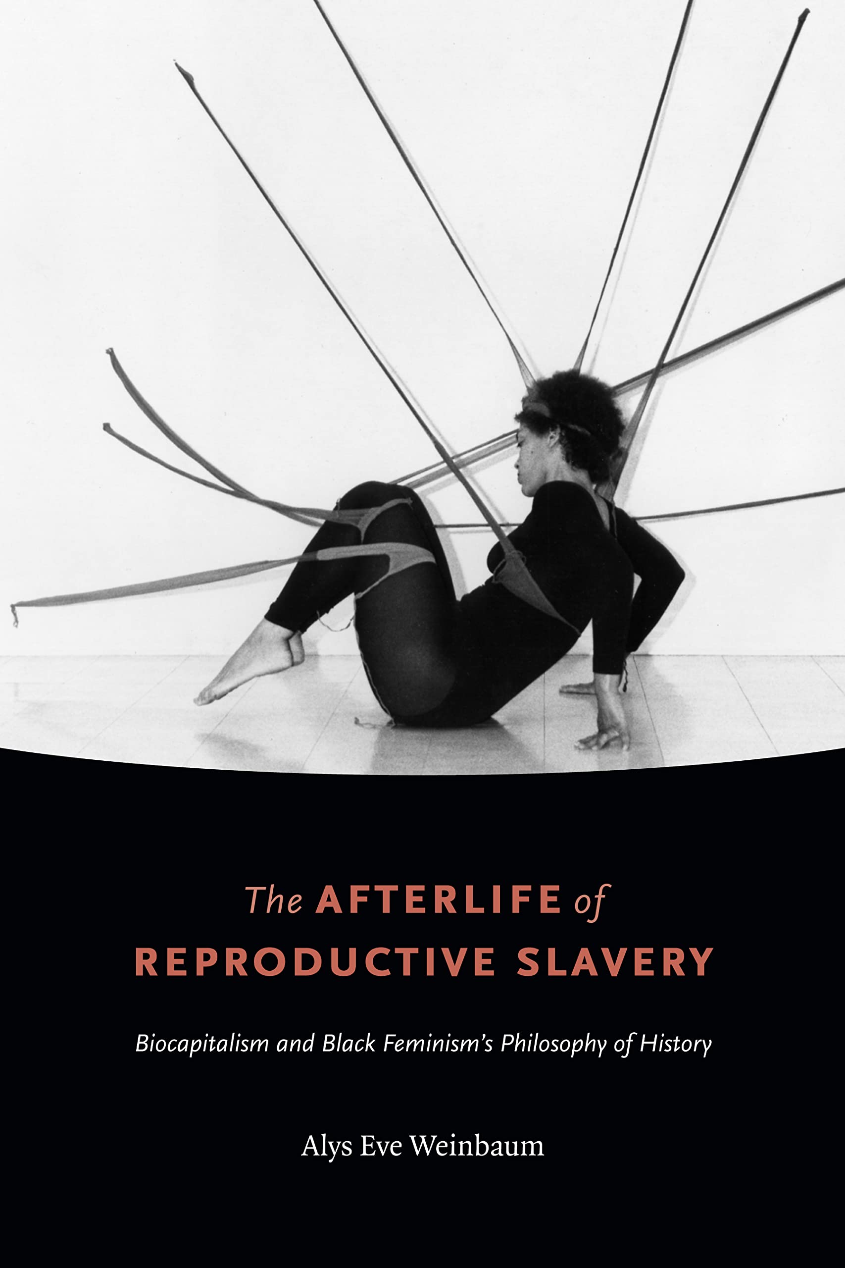 The Afterlife of Reproductive Slavery: Biocapitalism and Black Feminism’s Philosophy of History Books