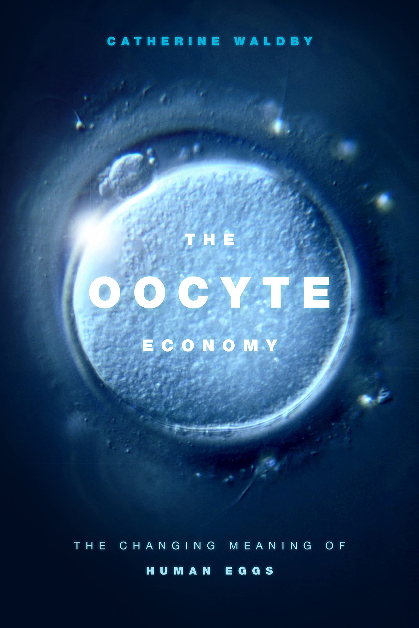 The Oocyte Economy: The Changing Meaning of Human Eggs Medicine