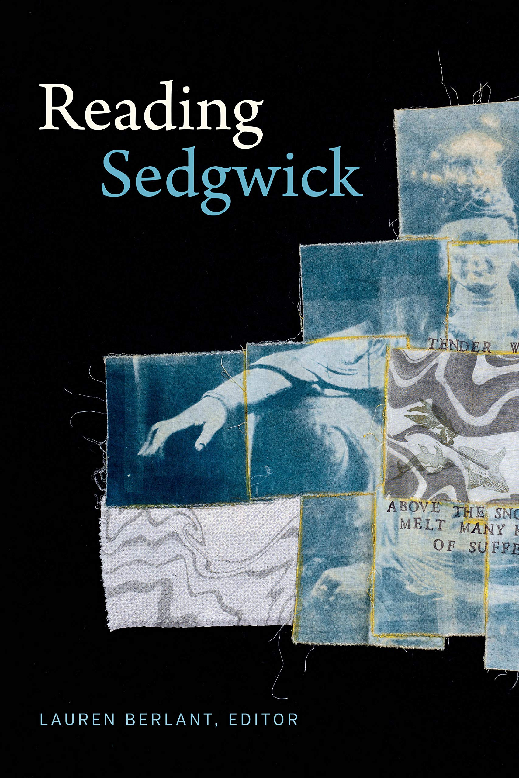 Reading Sedgwick (Theory Q) Books