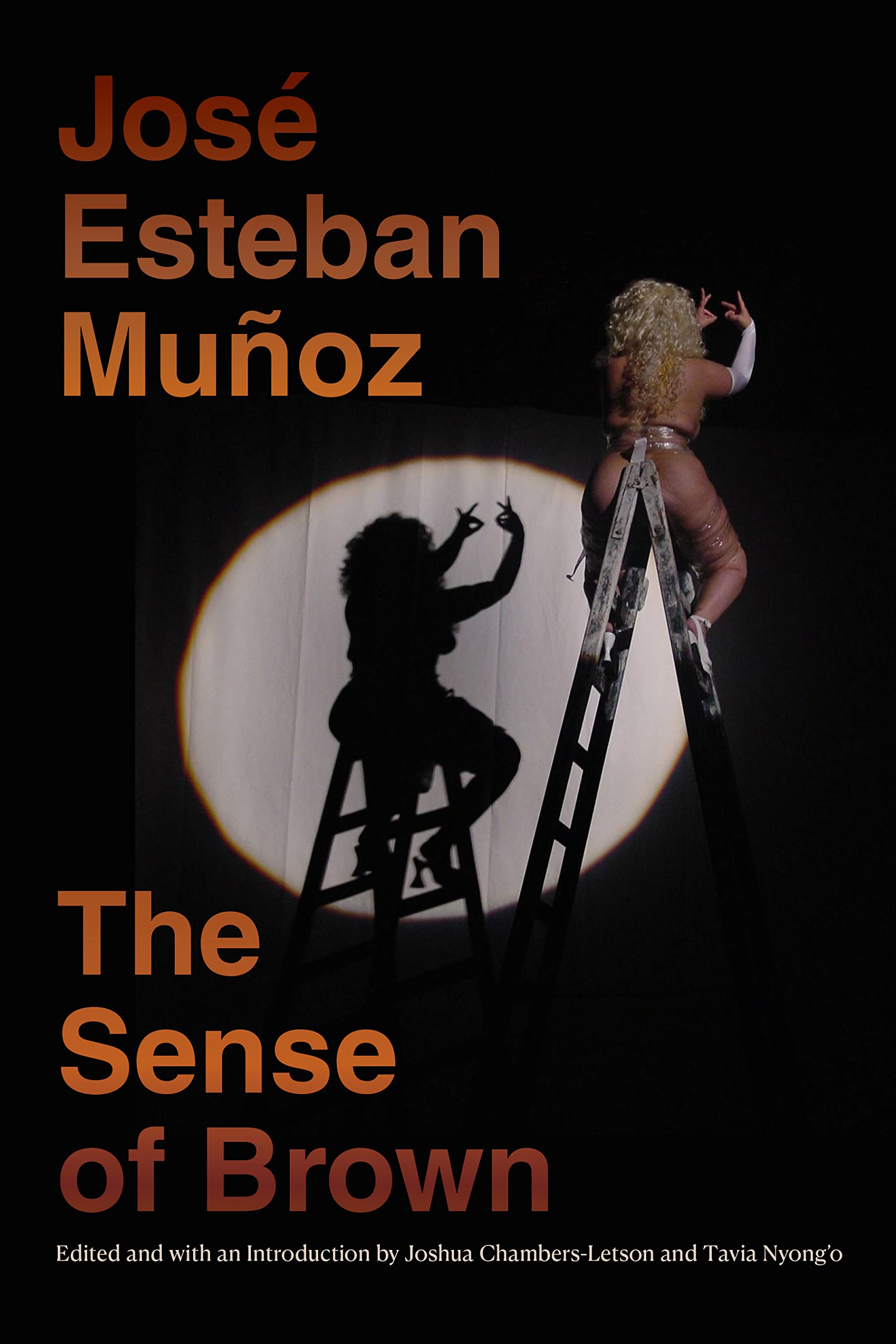 The Sense of Brown Books