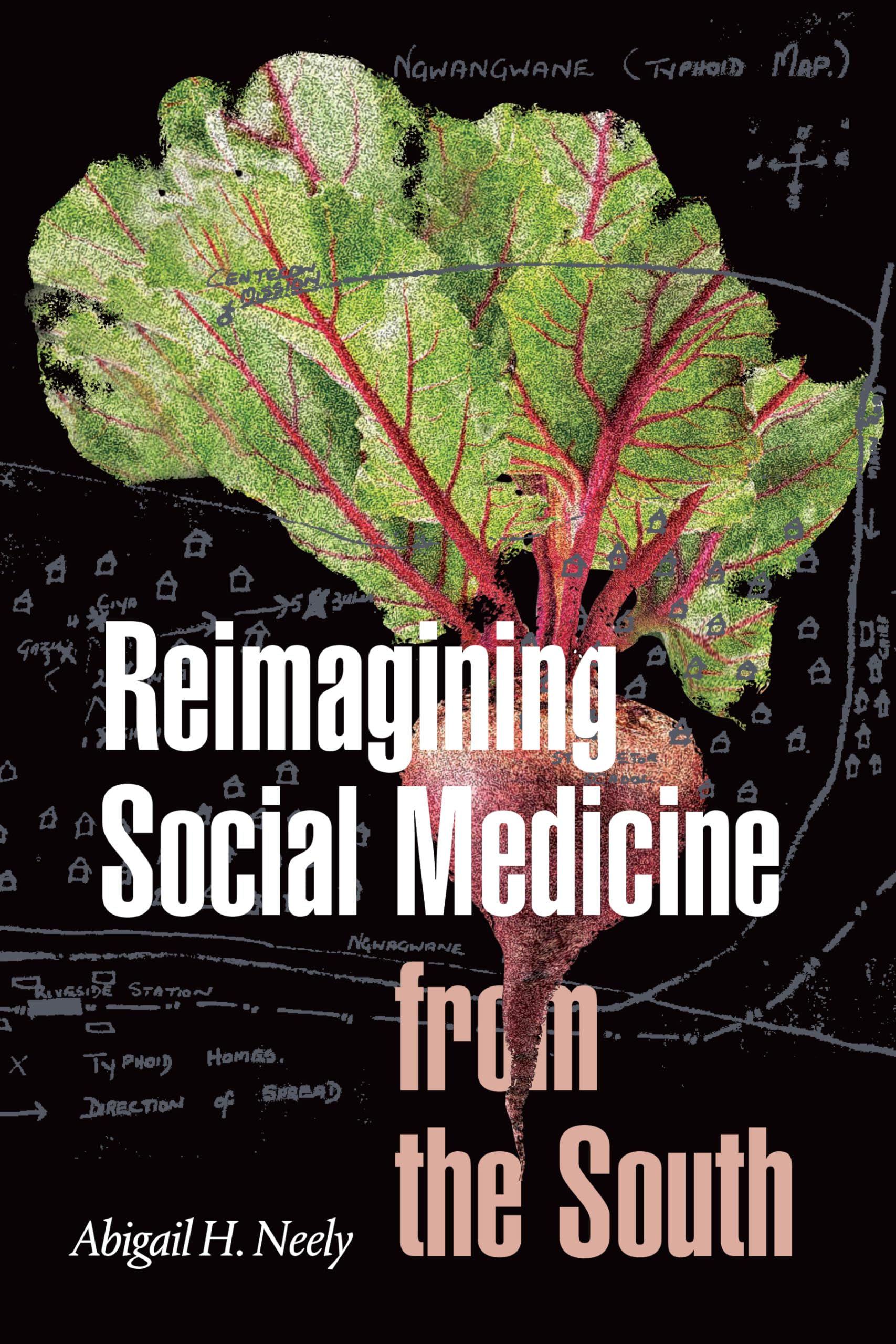 Reimagining Social Medicine from the South Medicine