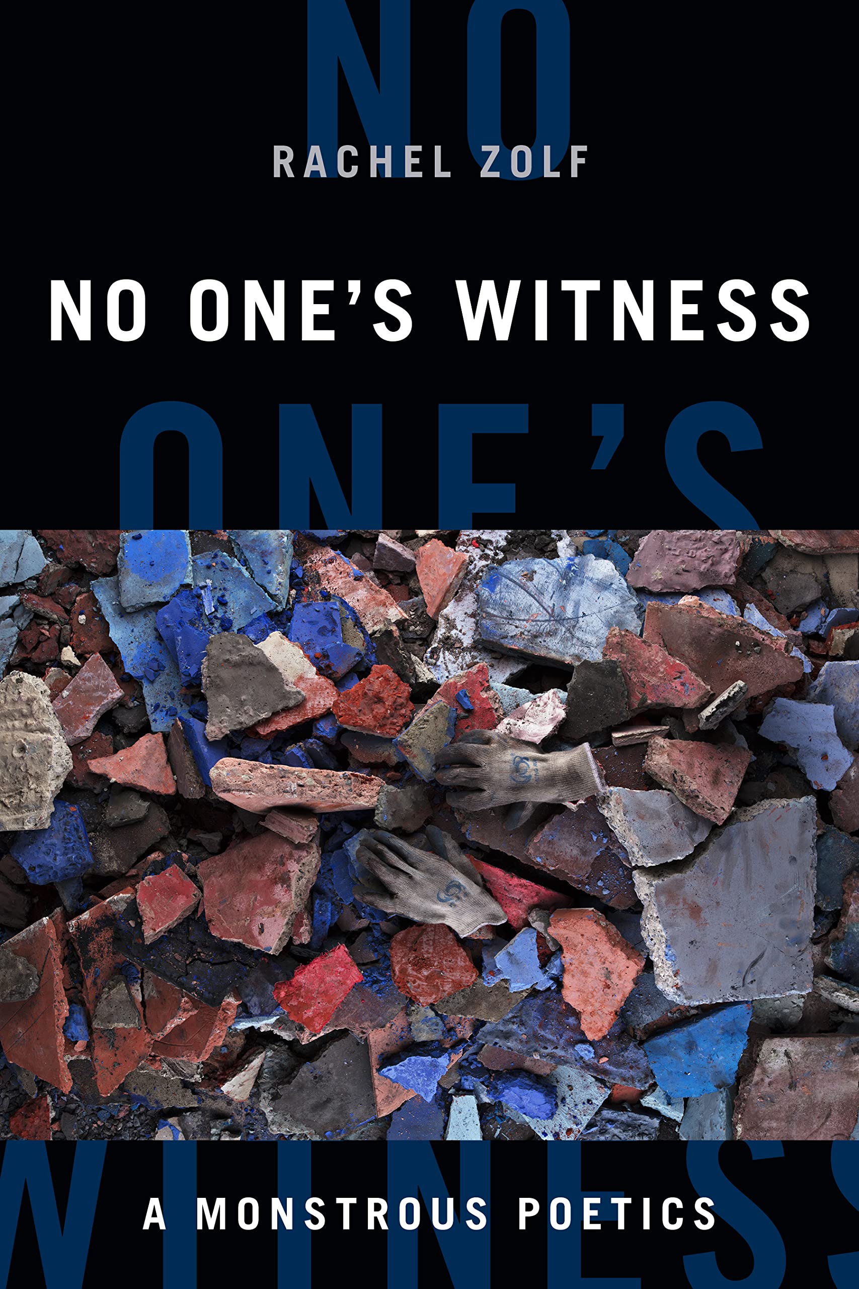 No One's Witness: A Monstrous Poetics (Black Outdoors: Innovations in the Poetics of Study) Books