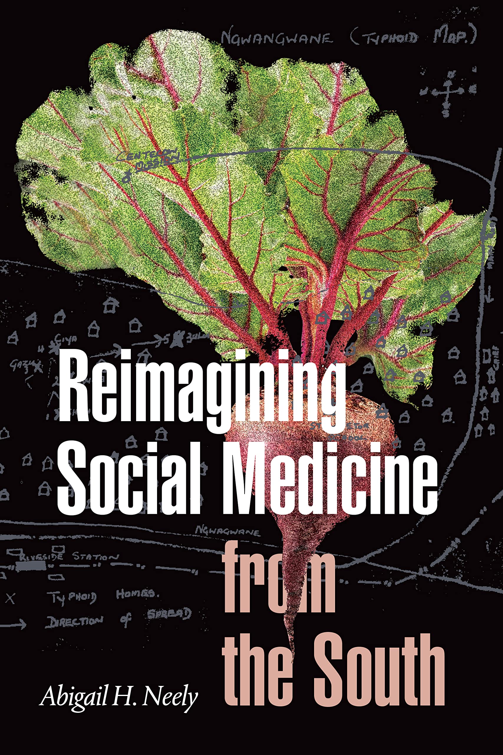 Reimagining Social Medicine from the South Medicine
