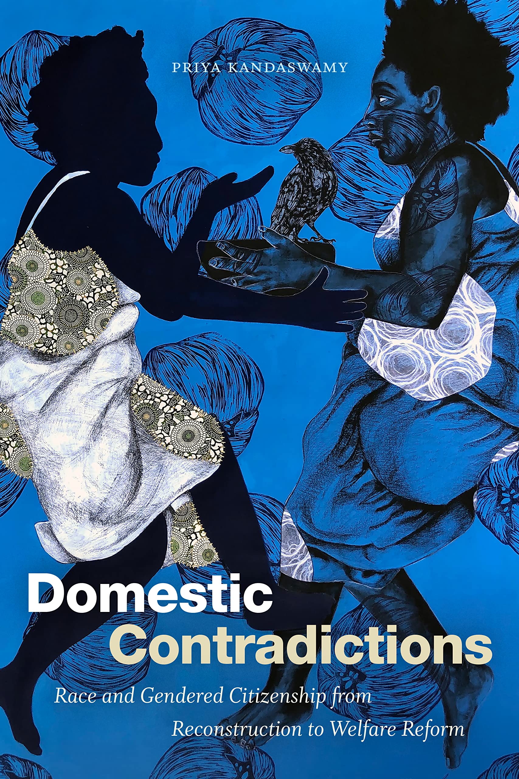 Domestic Contradictions: Race and Gendered Citizenship from Reconstruction to Welfare Reform Books