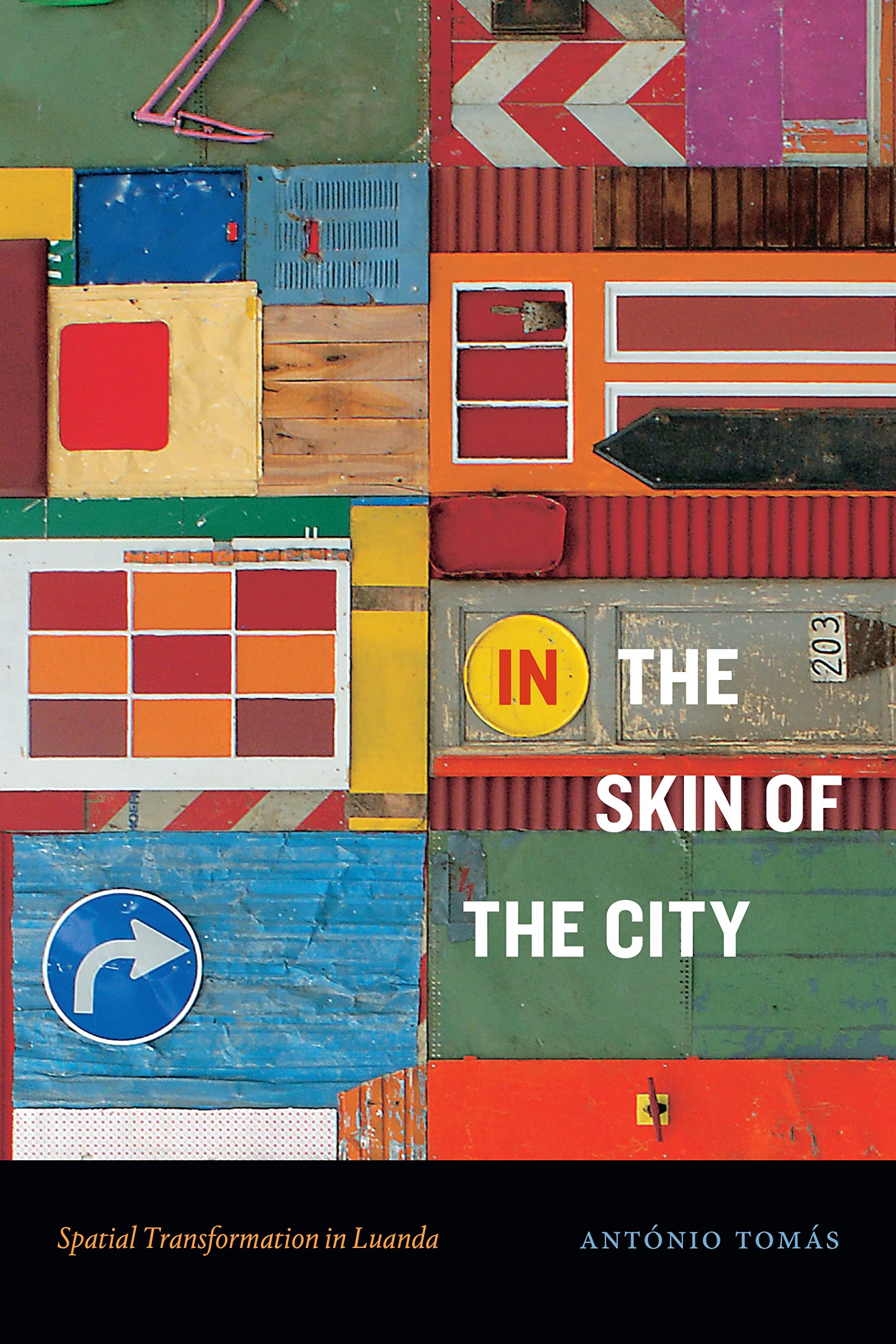 In the Skin of the City: Spatial Transformation in Luanda (Theory in Forms Book) Social Sciences