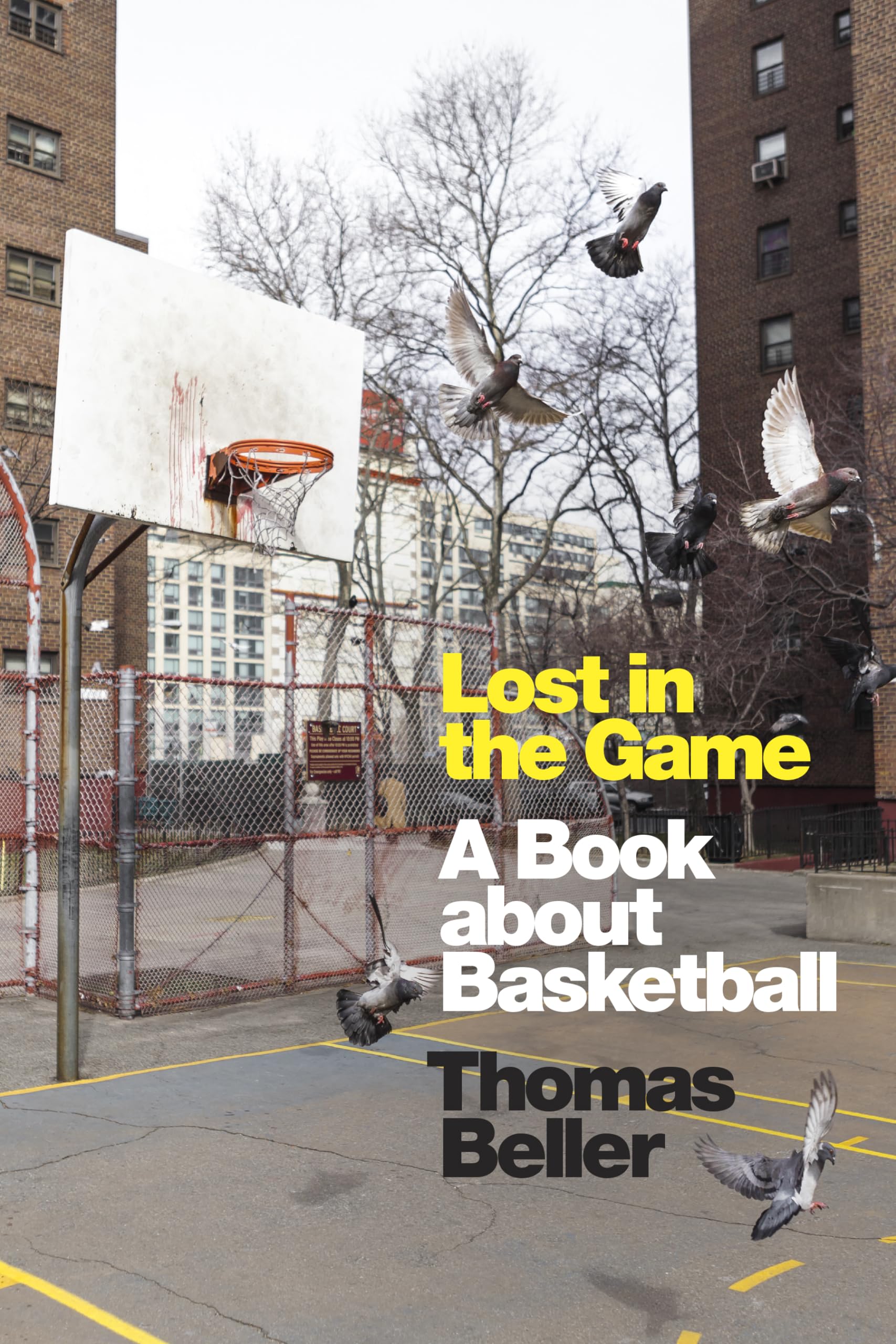 Lost in the Game: A Book About Basketball Leisure & Fun