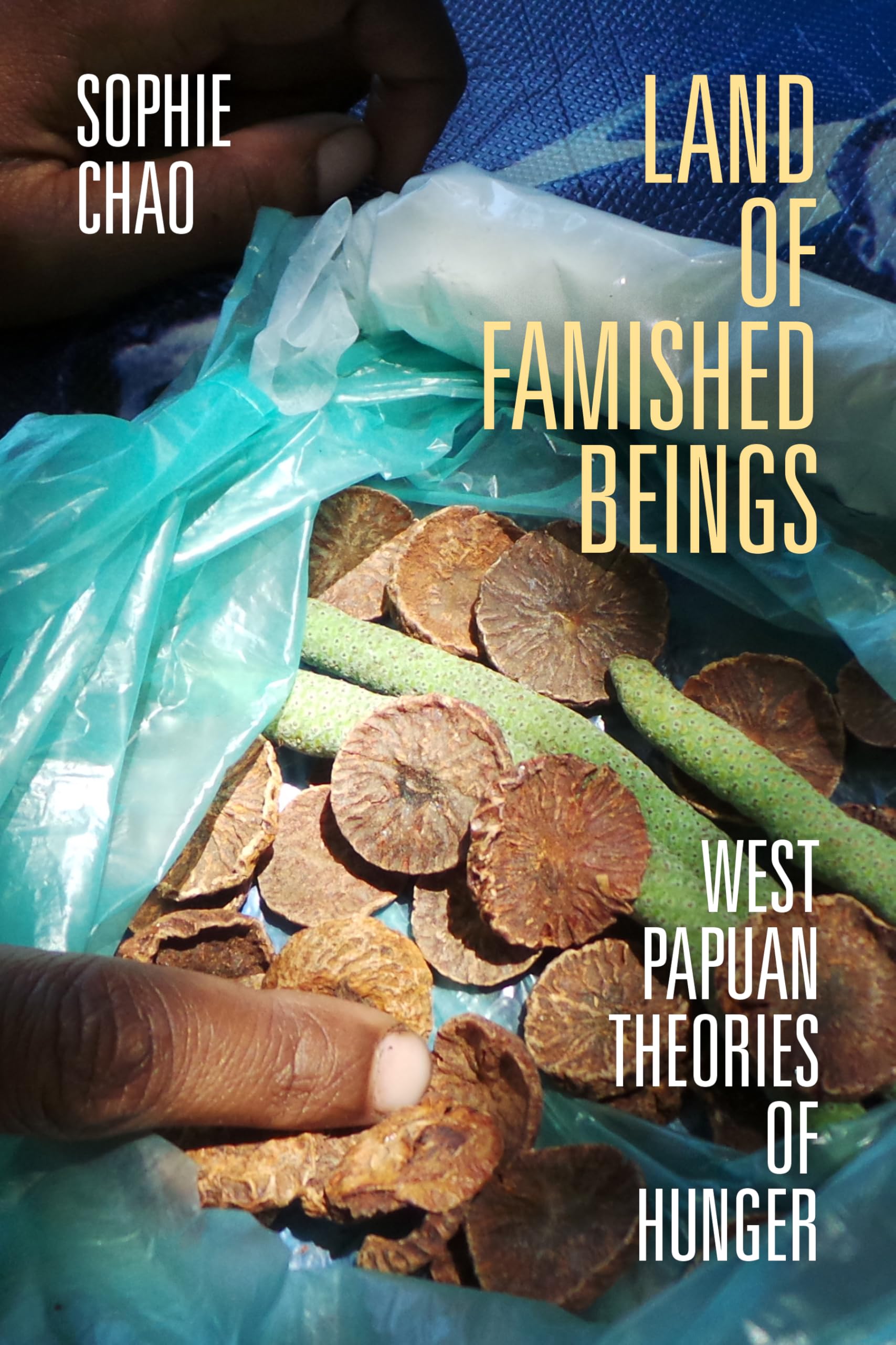 Land of Famished Beings Law